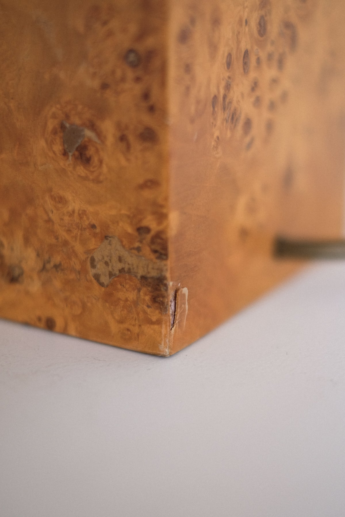 Modern Burl Wood Table Lamp — in context