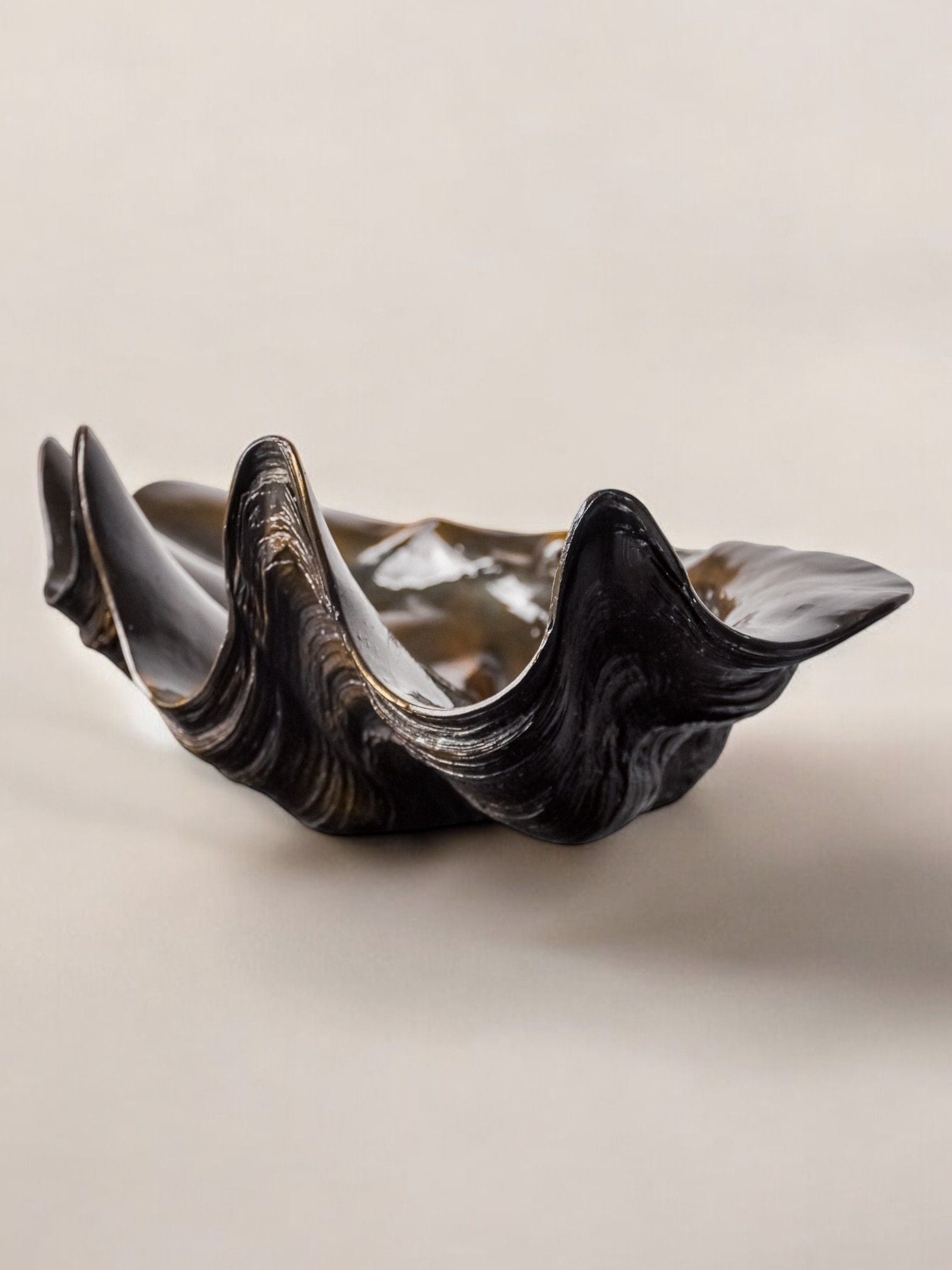 A glossy, black bowl with a wavy, flowing design reminiscent of a scallop shell showcases its artistic elegance in front of a neutral backdrop. This designer piece from Malamar Studio is known as the Large Shell in Plaster, hailing from Italy and created in the 70s.