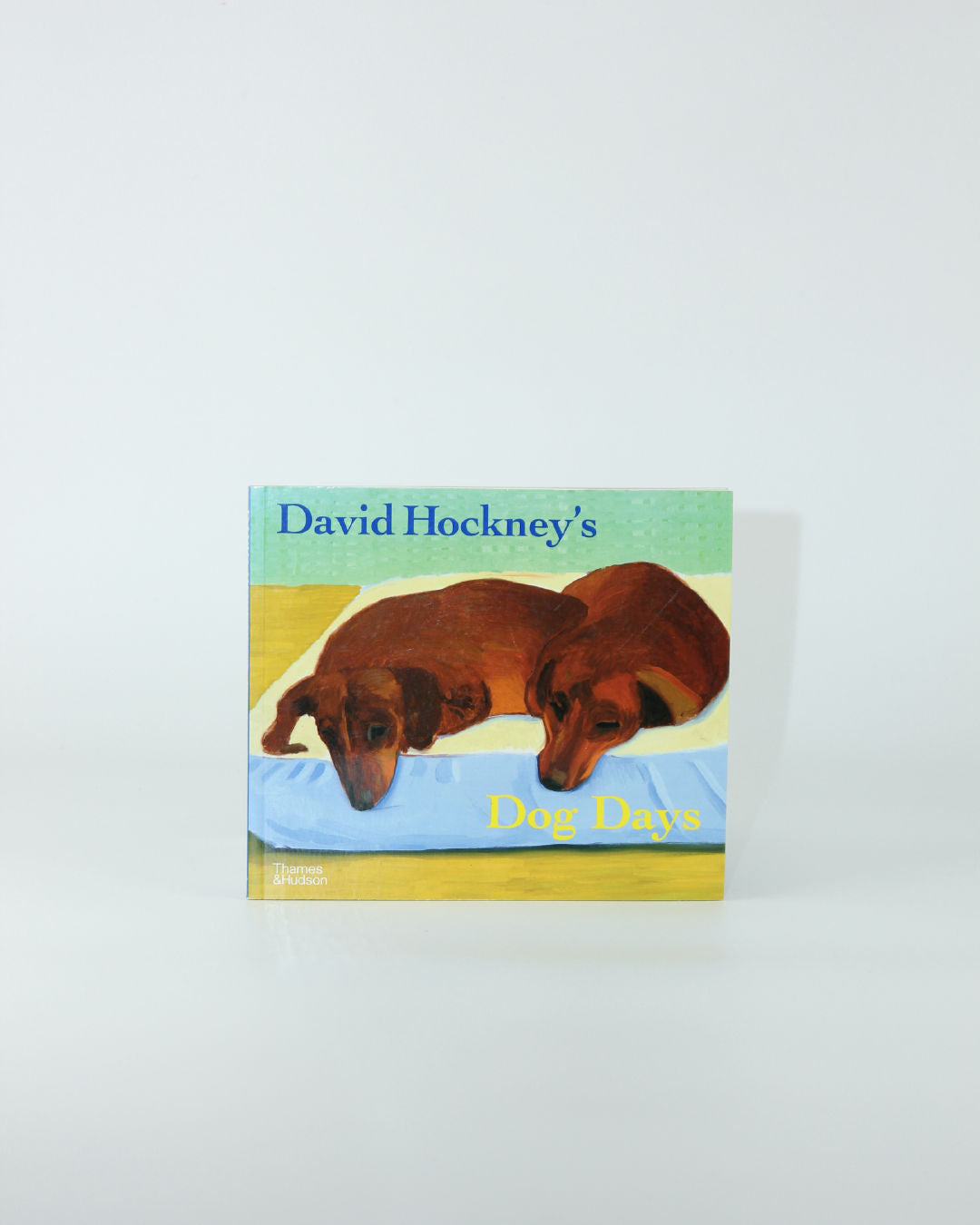 Livre Les Jours de Chien de David Hockney