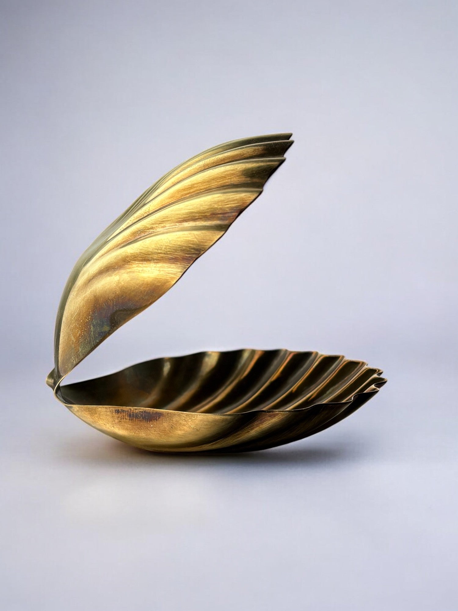 Brass shell vide-poche open view showing ridged interior detail