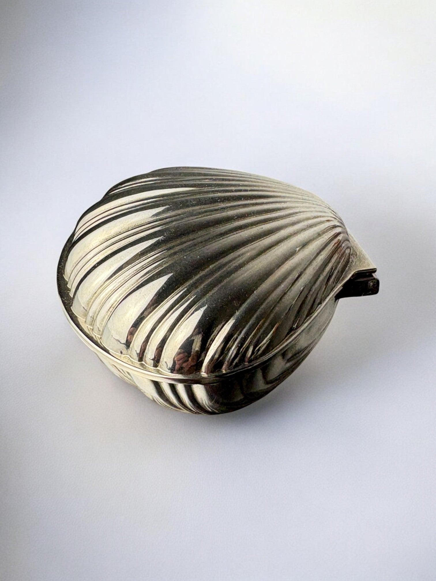 Silver-plated shell jewelry box showing ribbed surface detail