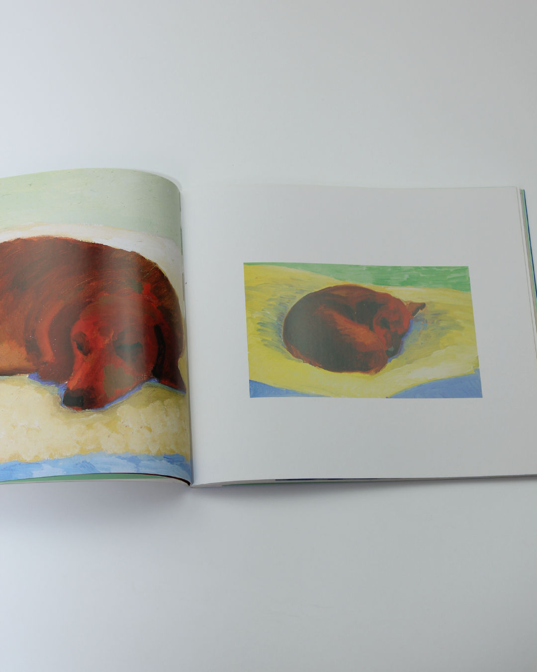 Livre Les Jours de Chien de David Hockney