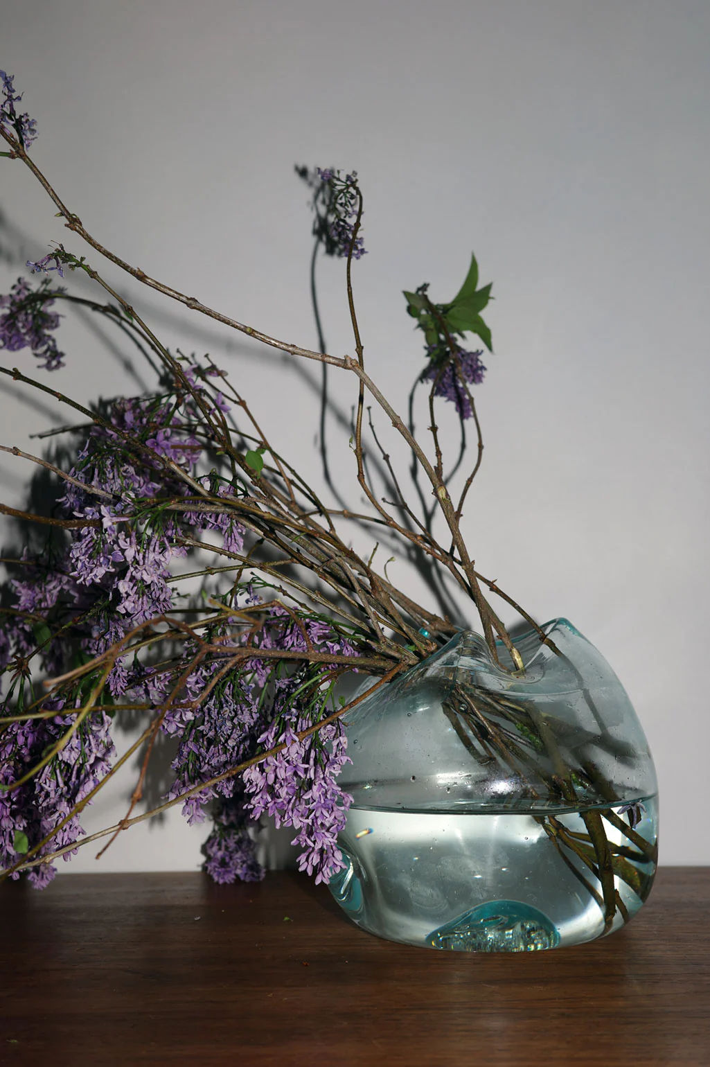 'The Bubble to End all Bubbles' by Completedworks, a clear round vase hand-blown from recycled glass, holds water and purple flower branches. It casts soft shadows on a plain white wall and sits elegantly on a wooden surface.