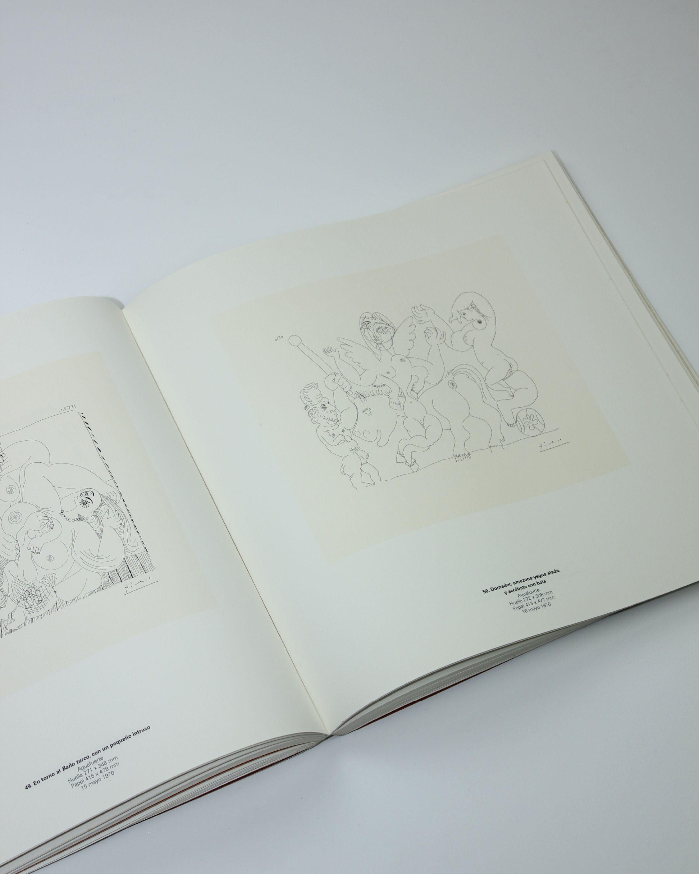 Picasso Suite 156 Book