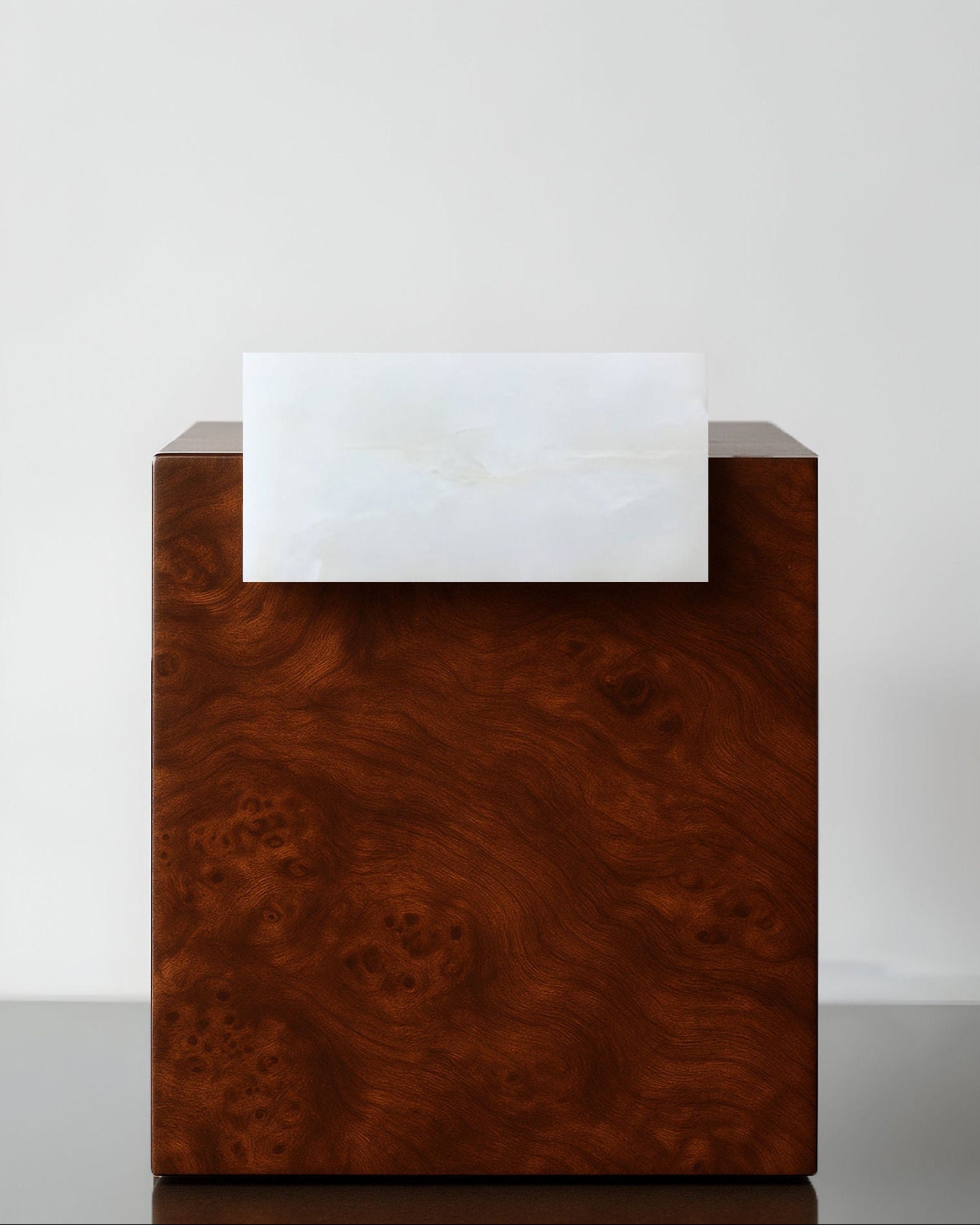 Gaia Burl Wood and White Onyx End Table