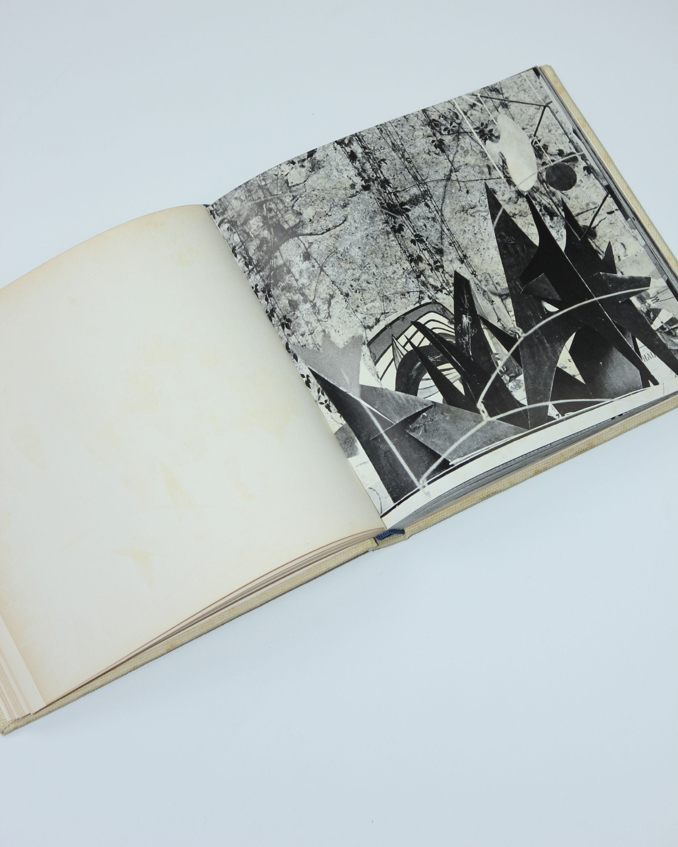 Livre d'art CALDER