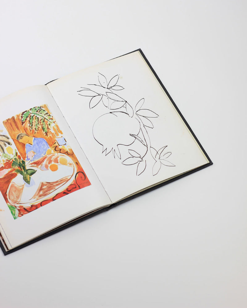 The 'Matisse in Nice' book by Boga Avante Shop features a vibrant Matisse-inspired painting on one page and a minimalist black line drawing of leaves and fruit on the other, both set against a white background evoking the south of France.