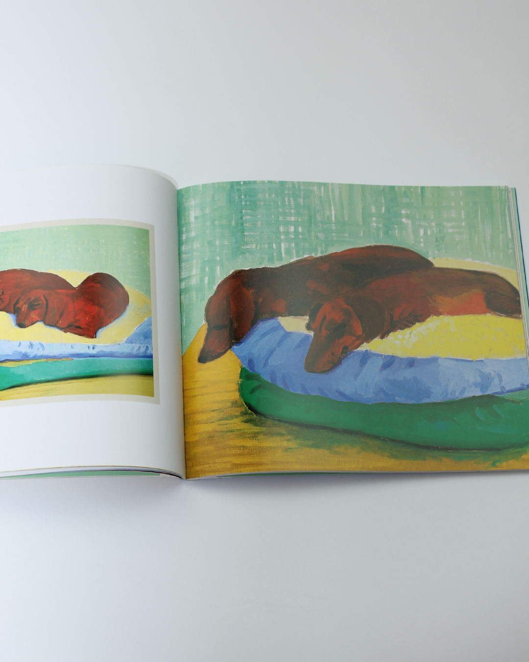 Livre Les Jours de Chien de David Hockney