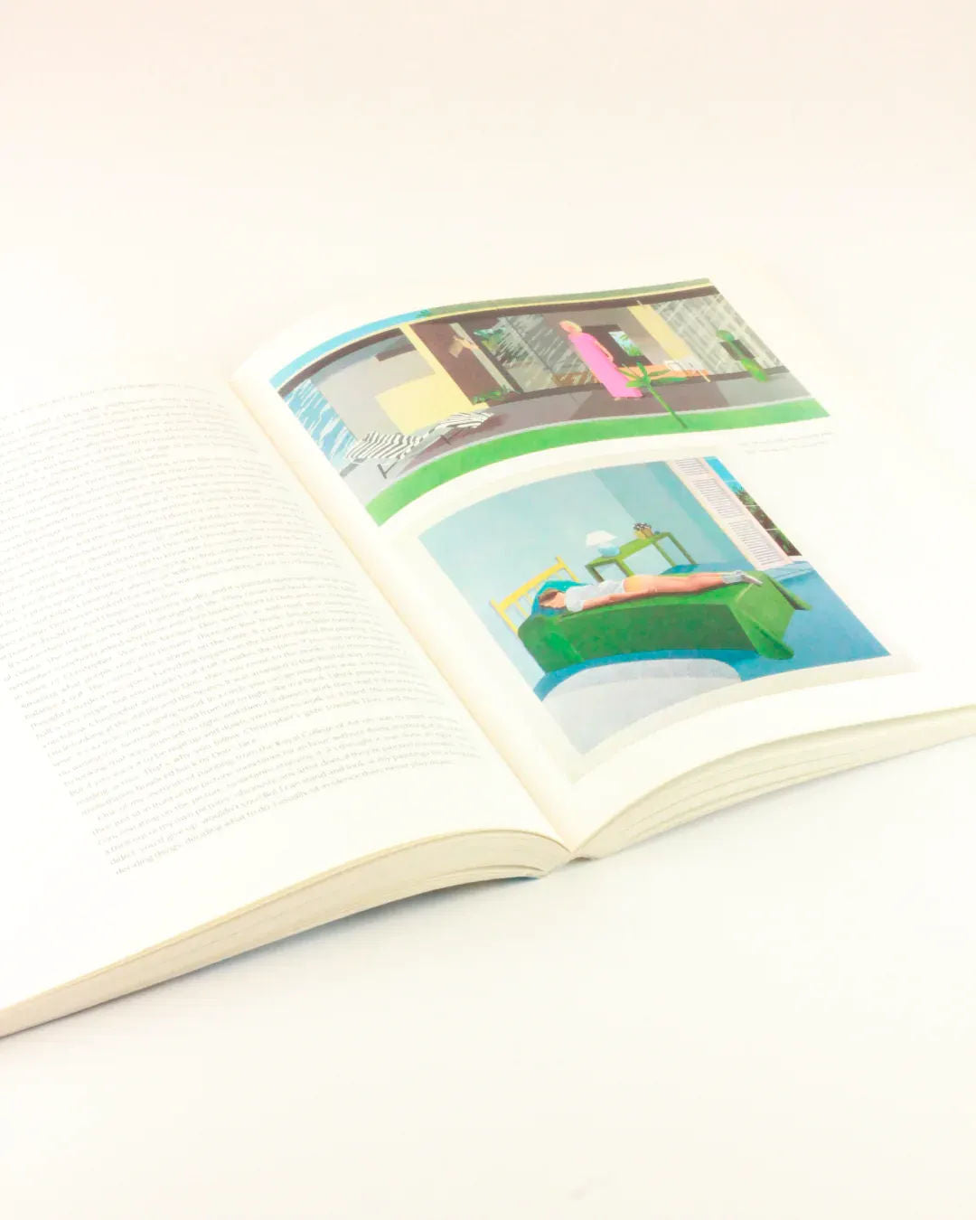 David Hockney Early Years Book | The Oblist