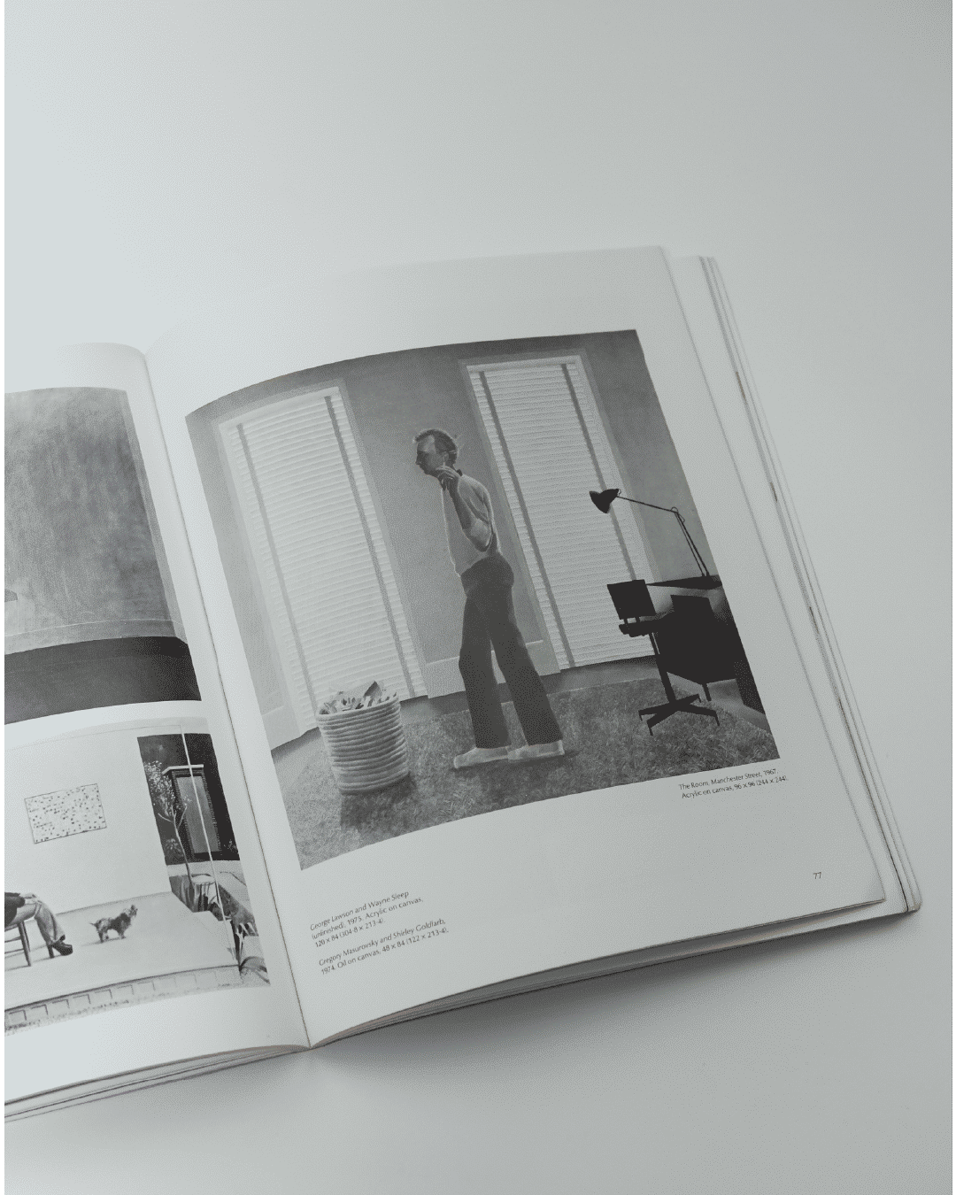 Livre d'images par David Hockney