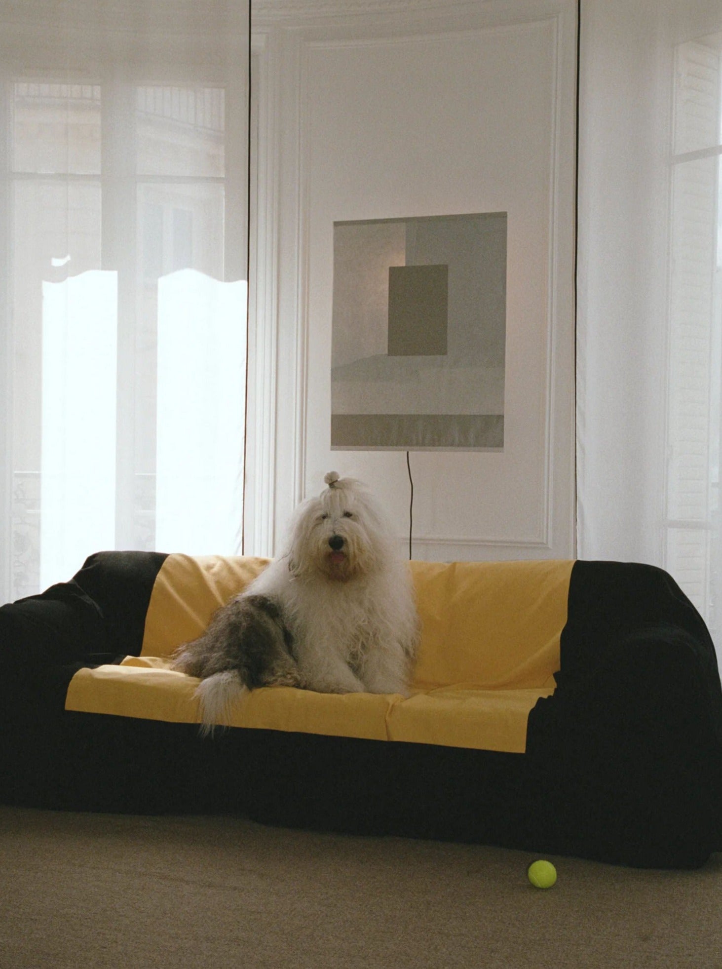 A fluffy dog with long white hair and a topknot sits on a couch covered in black and yellow in a minimalist room. A handmade paper collage adds charm, while a tennis ball lies on the floor. The serene setting is completed by TEGET's "Icescape" Panel Wall Lamp, which illuminates the abstract art piece hanging above.