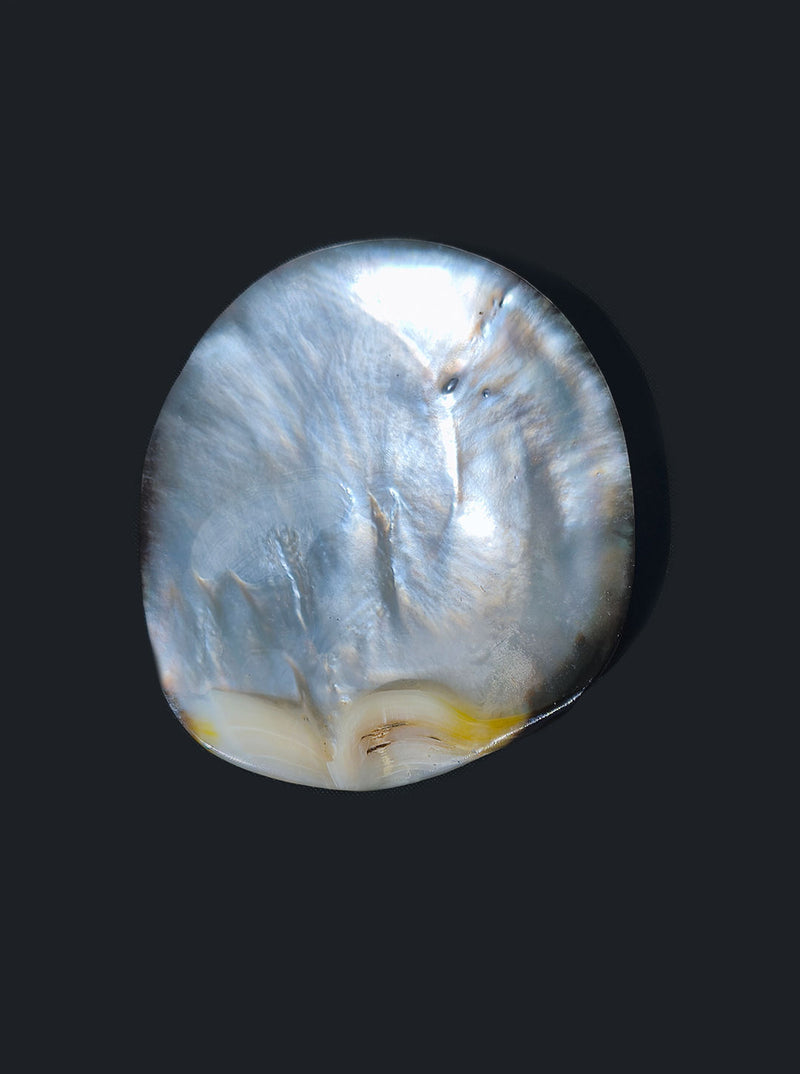 Mother-of-pearl vide-poche with iridescent blue surface patterns