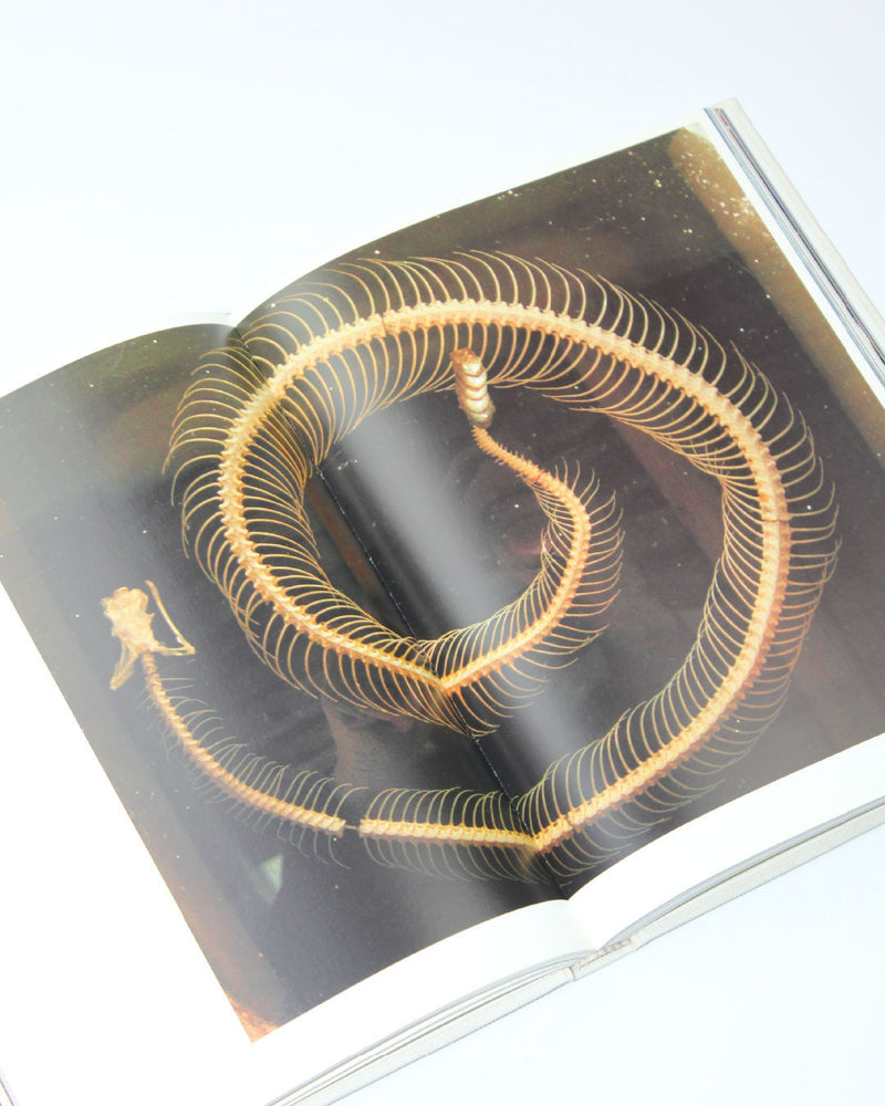 Skeleton specimen detail from Pilgrimage photography book