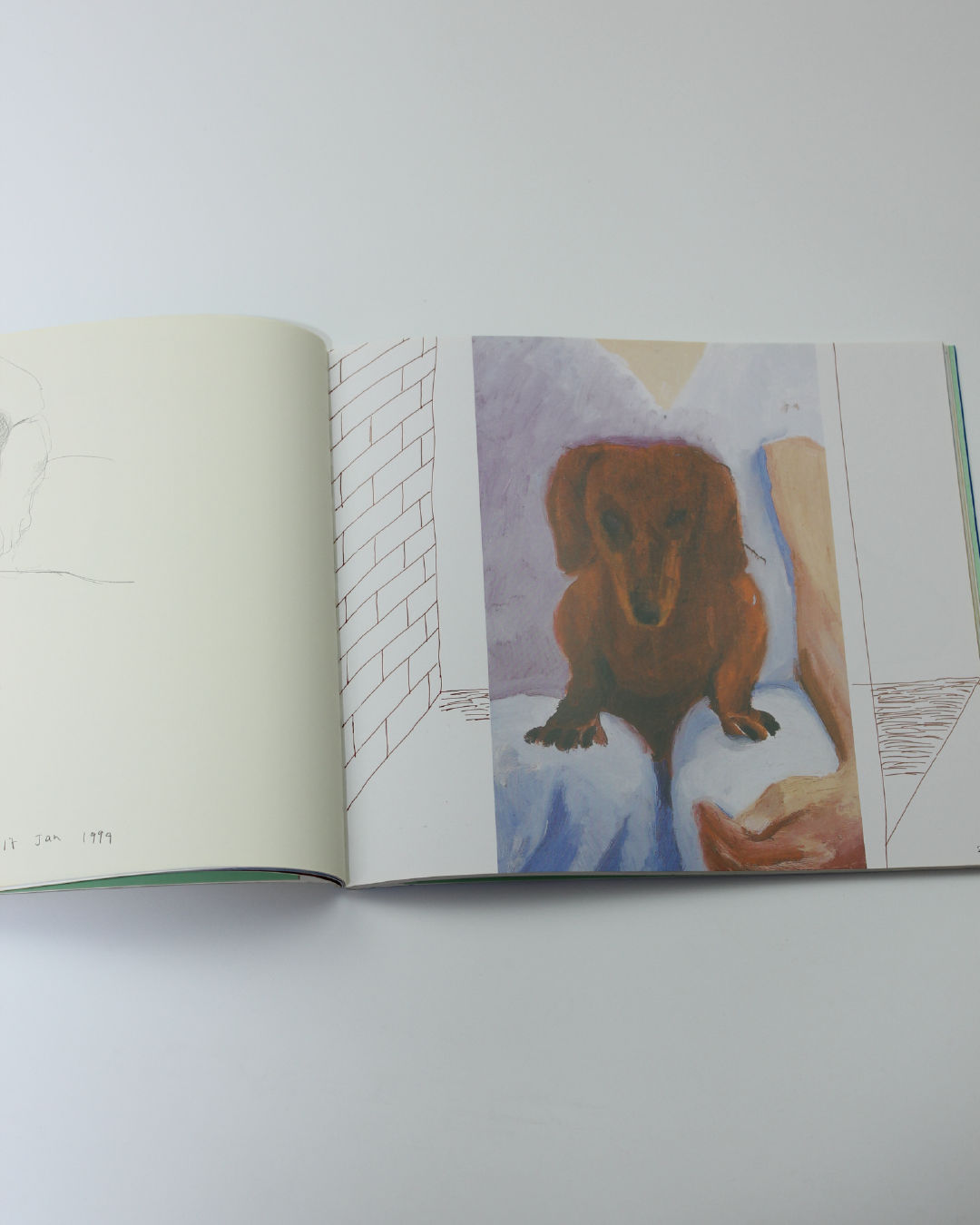 Livre Les Jours de Chien de David Hockney