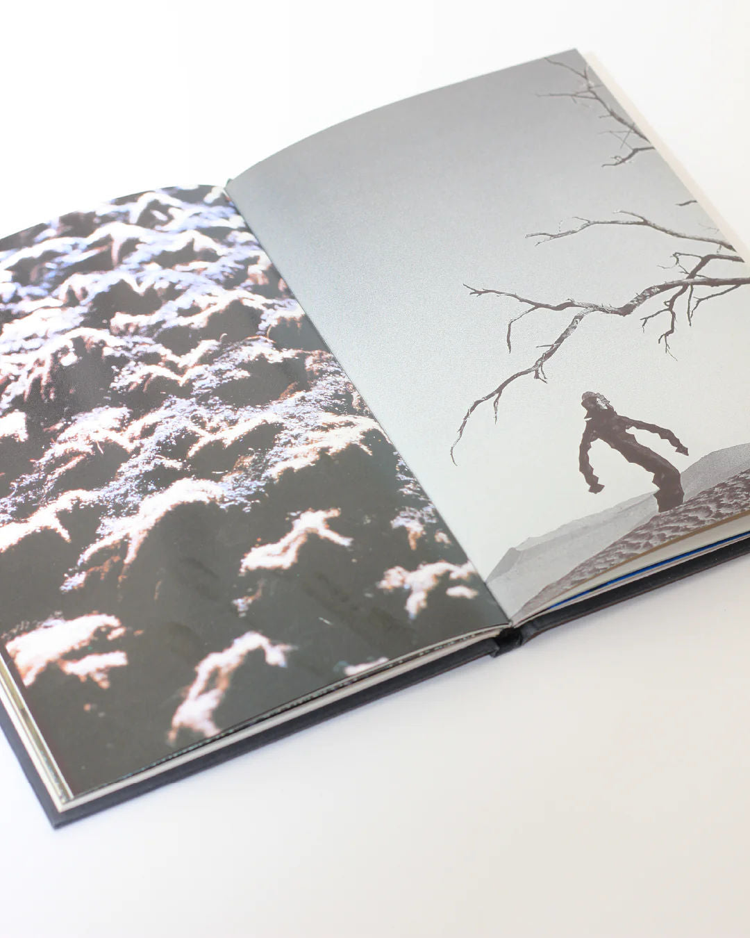 Issey Miyake Book by Boga Avante Shop | The Oblist