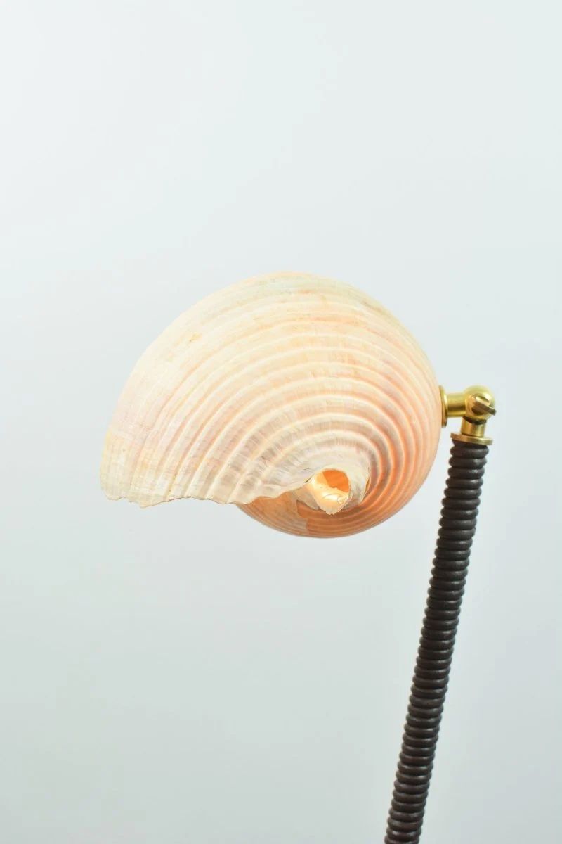 'L’Escargot' Table Lamp