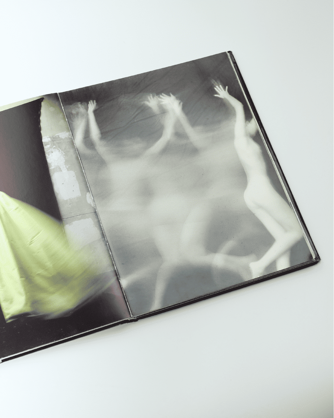 Livre de David Seidner