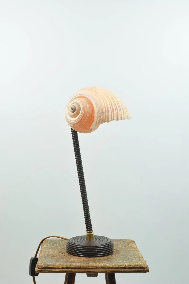 'L’Escargot' Table Lamp