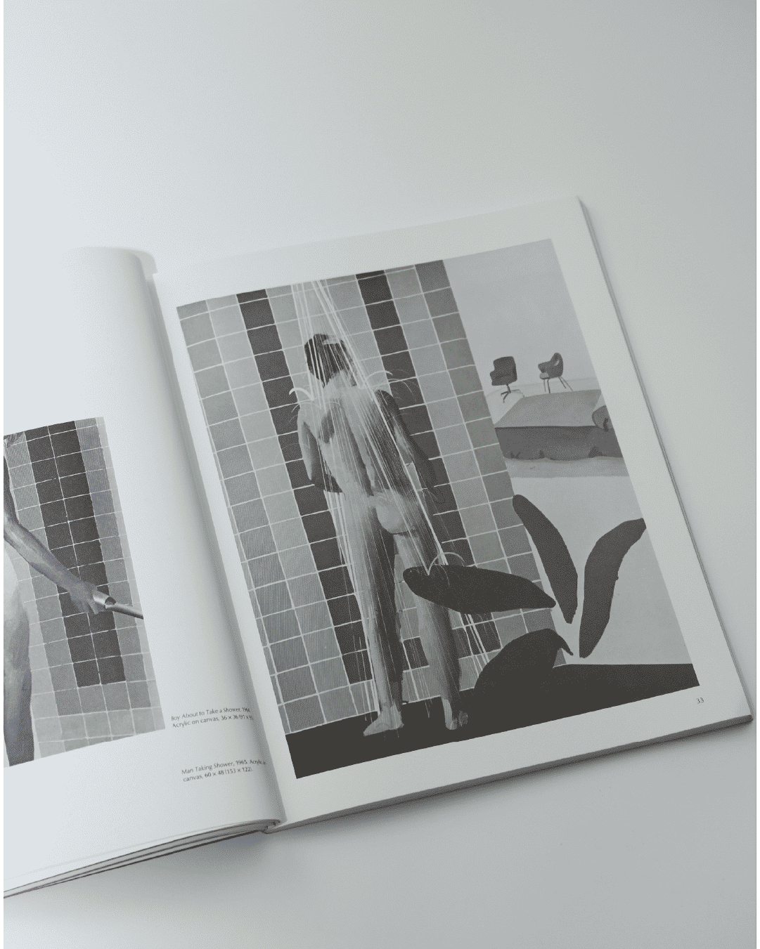 Livre d'images par David Hockney