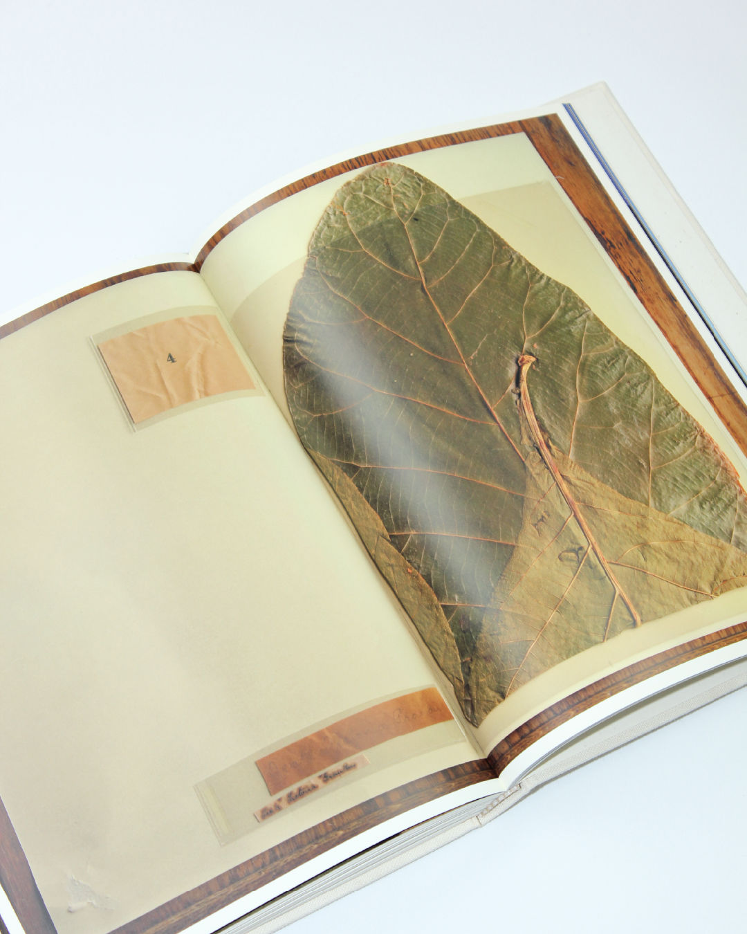 Pilgrimage by Annie Leibovitz Book