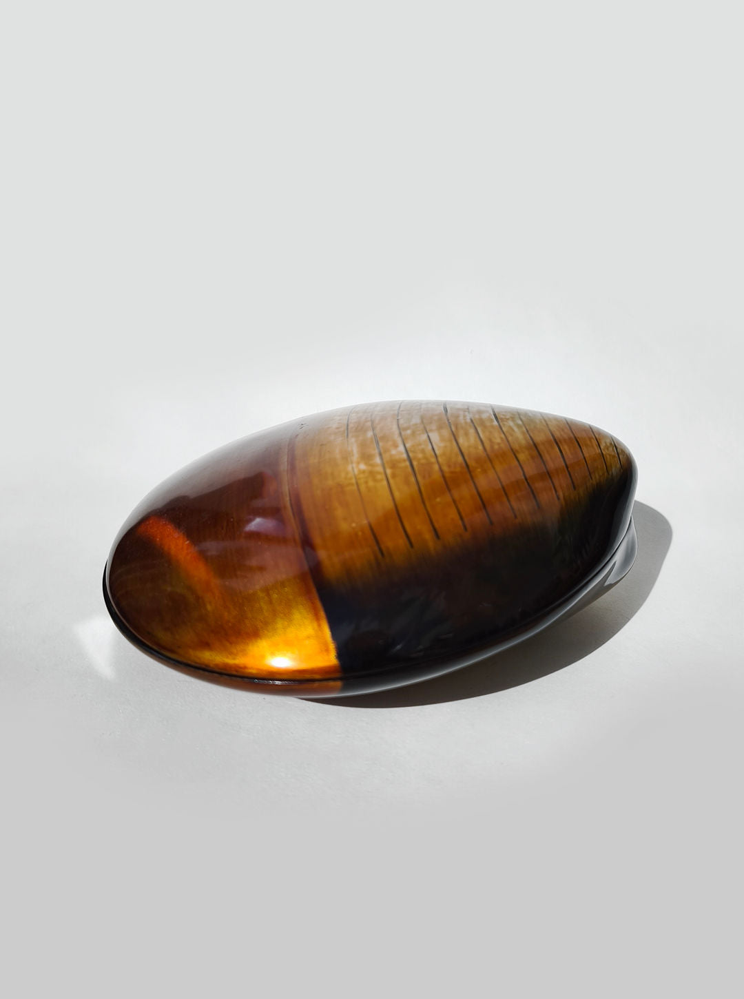 Large Bakelite Shell Box