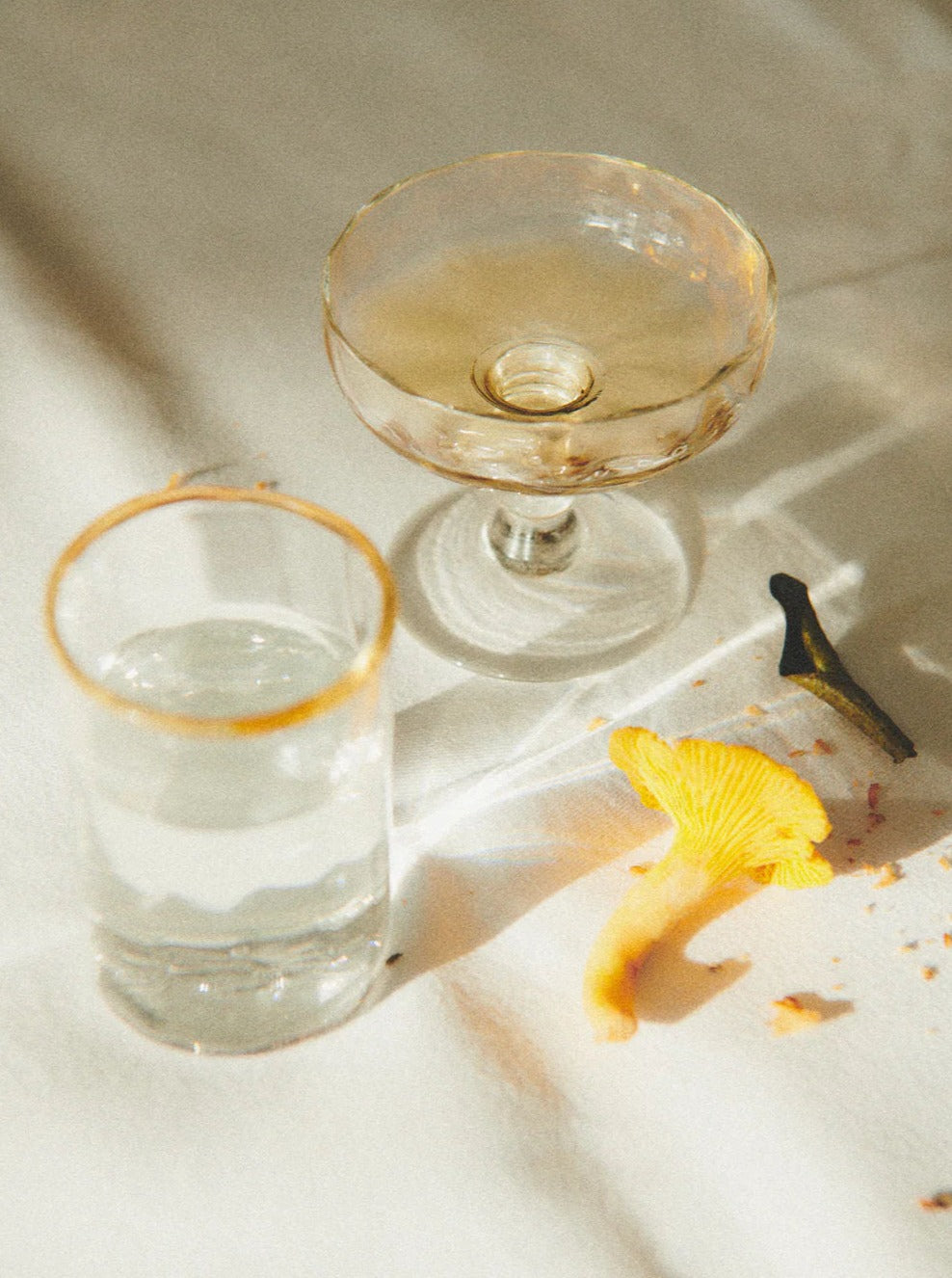 A textured image featuring a stemmed Akua Objects Alban Champagne Glass - Set of Four and a tumbler filled with clear liquid, beside a vibrant orange mushroom and scattered spices, illuminated by natural light casting shadows.