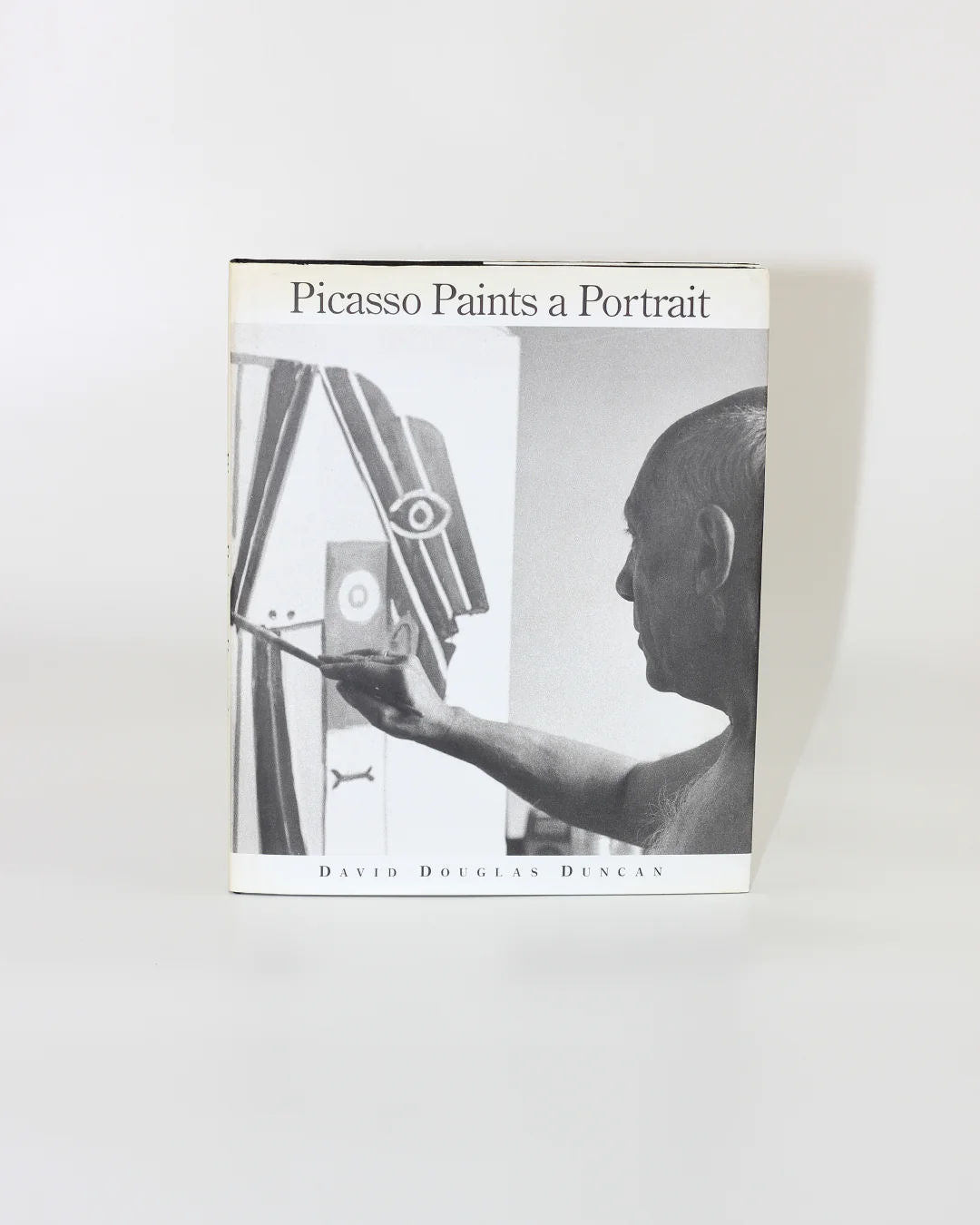 'Picasso Paints a Portrait' Books