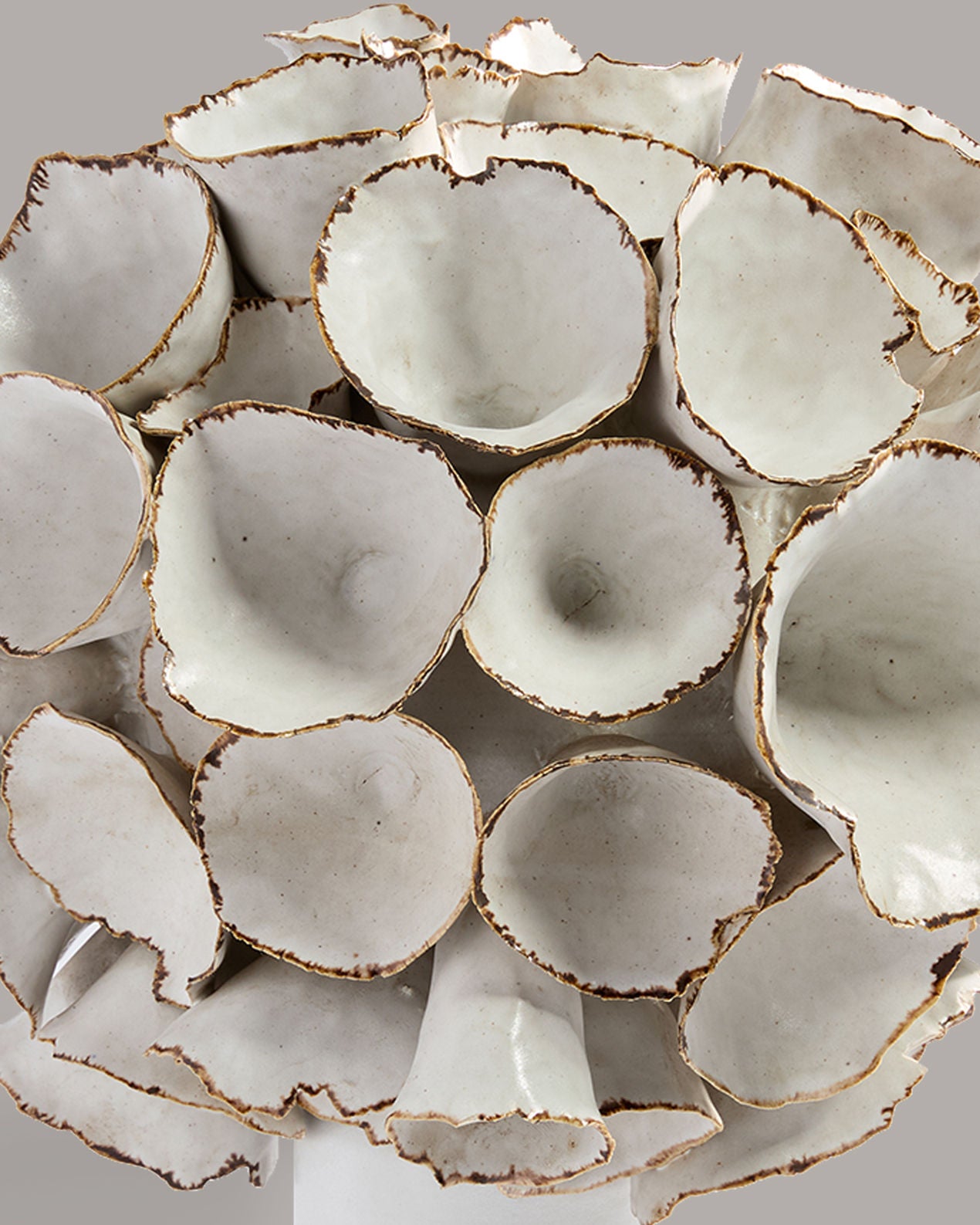 Large Organic Form by Deirdre Burnett (1939-2022)