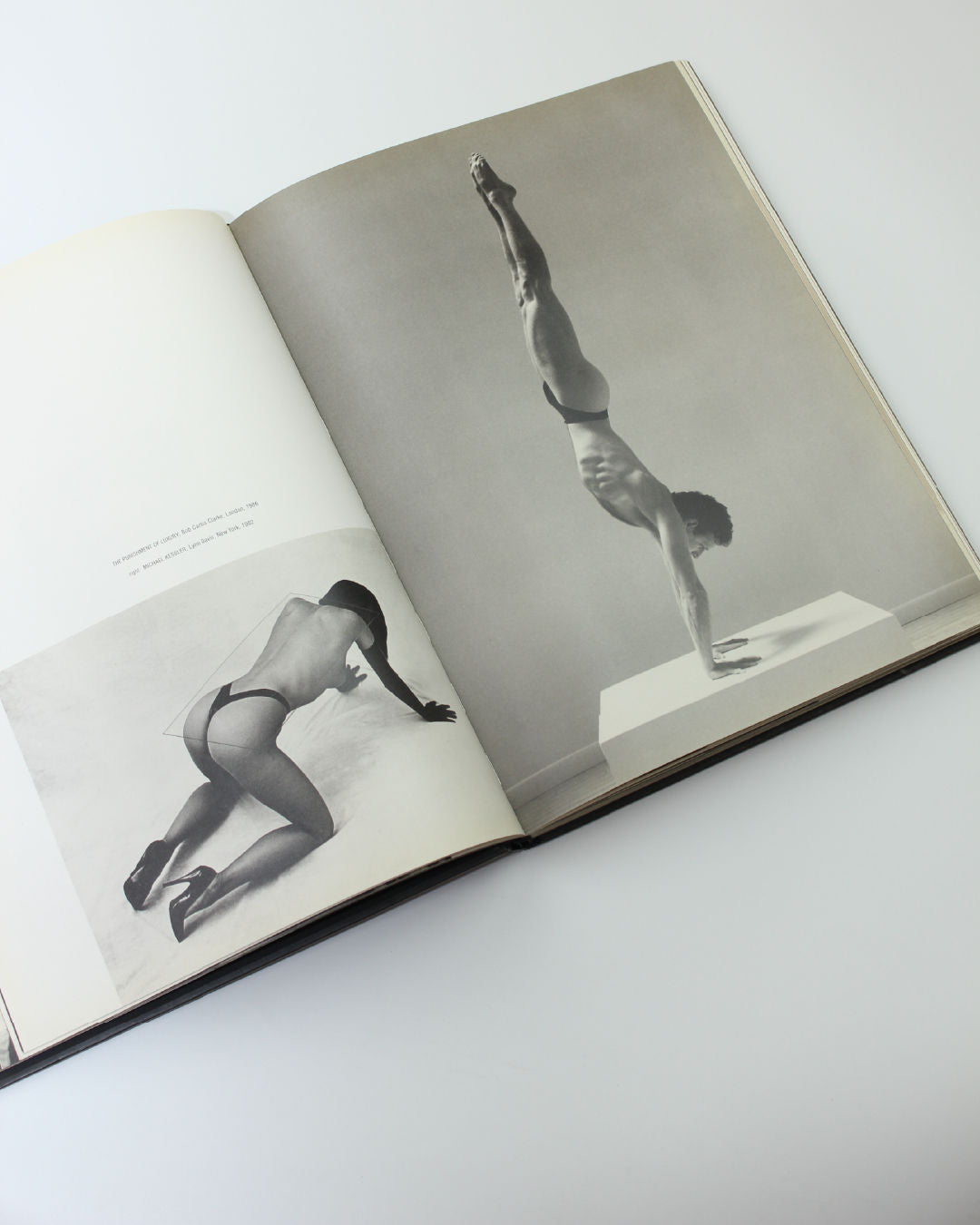 Under World by Kelly Klein Book