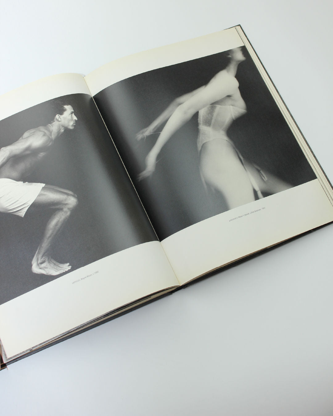 Under World by Kelly Klein Book