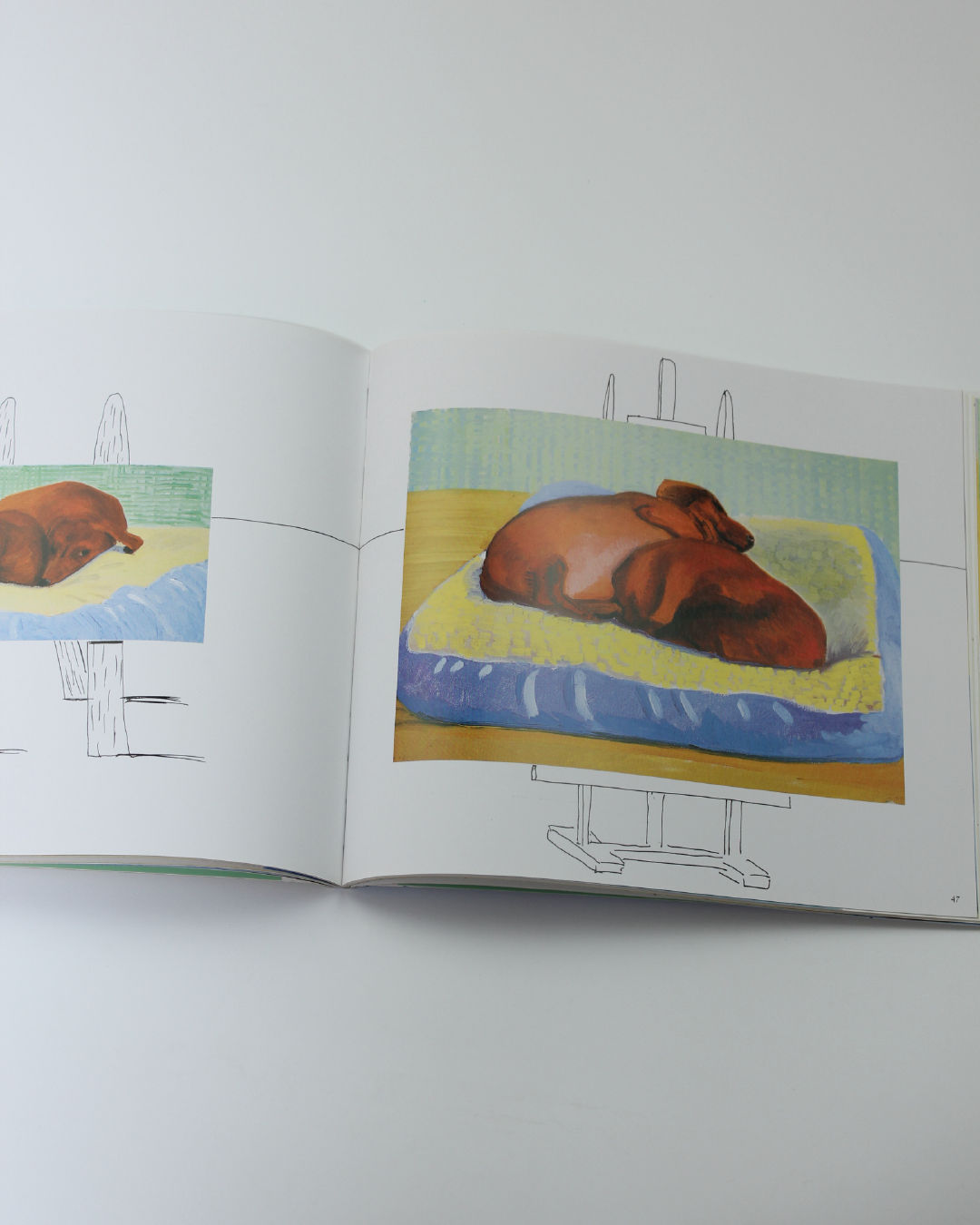 Livre Les Jours de Chien de David Hockney