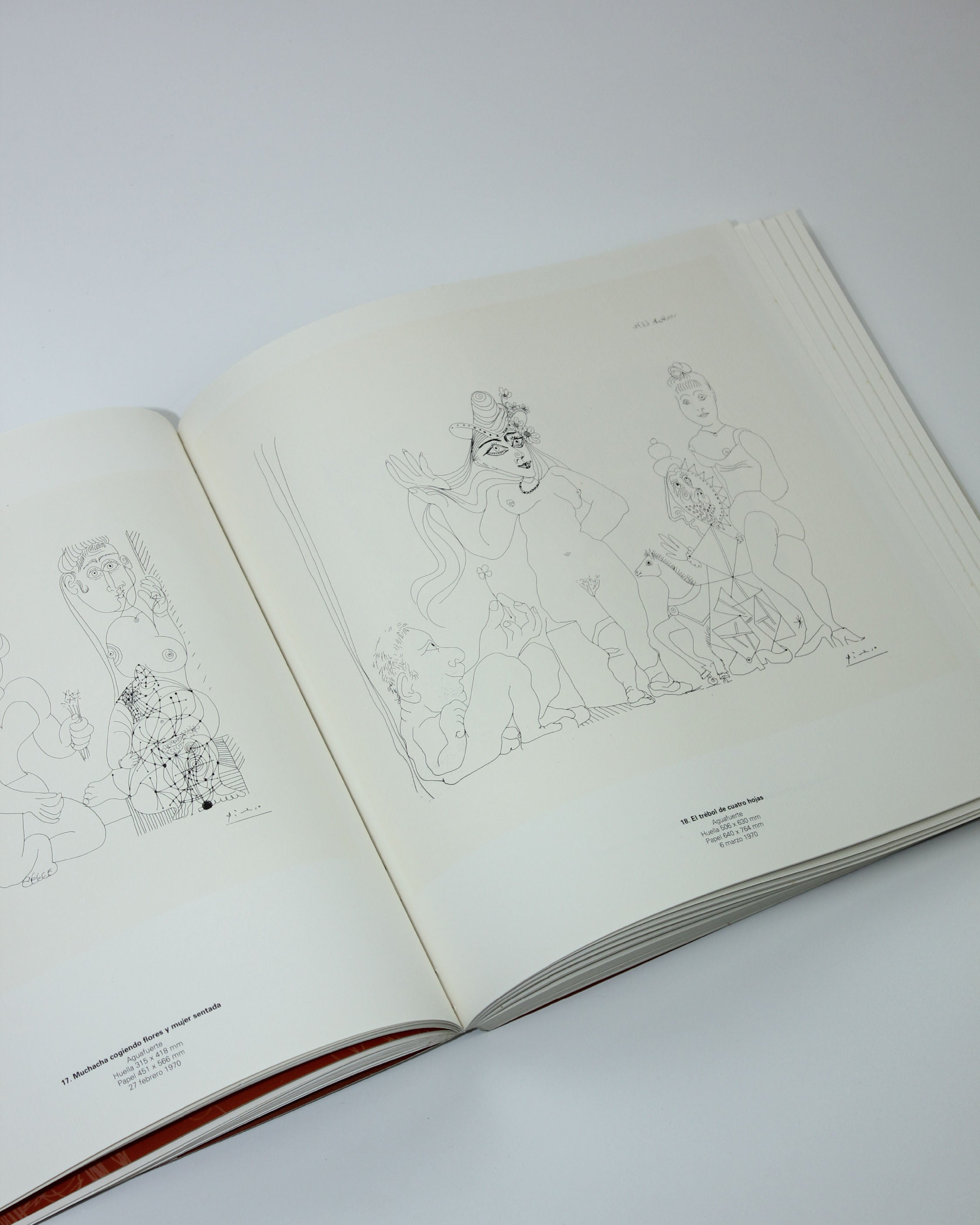 Picasso Suite 156 Book