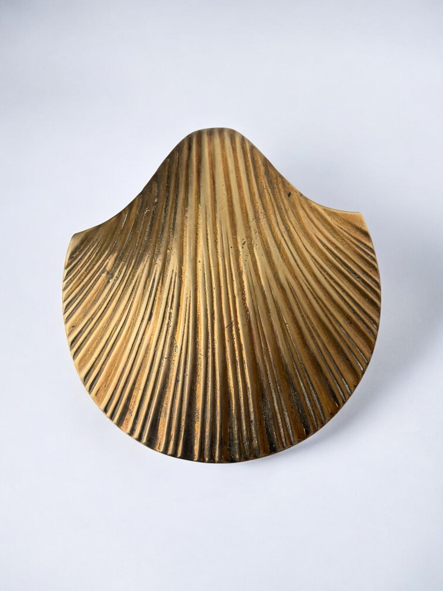 Vintage brass shell-shaped jewelry box from 1970s Italy