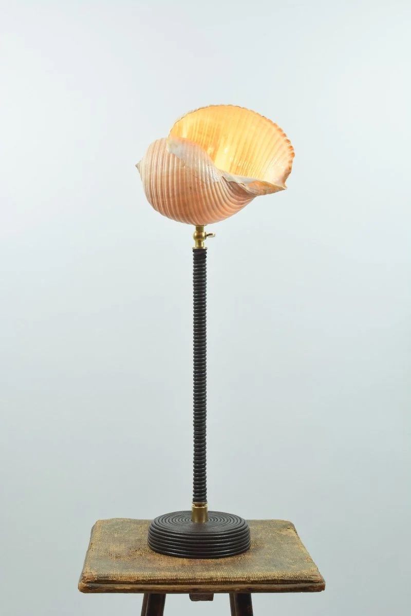 'L’Escargot' Table Lamp