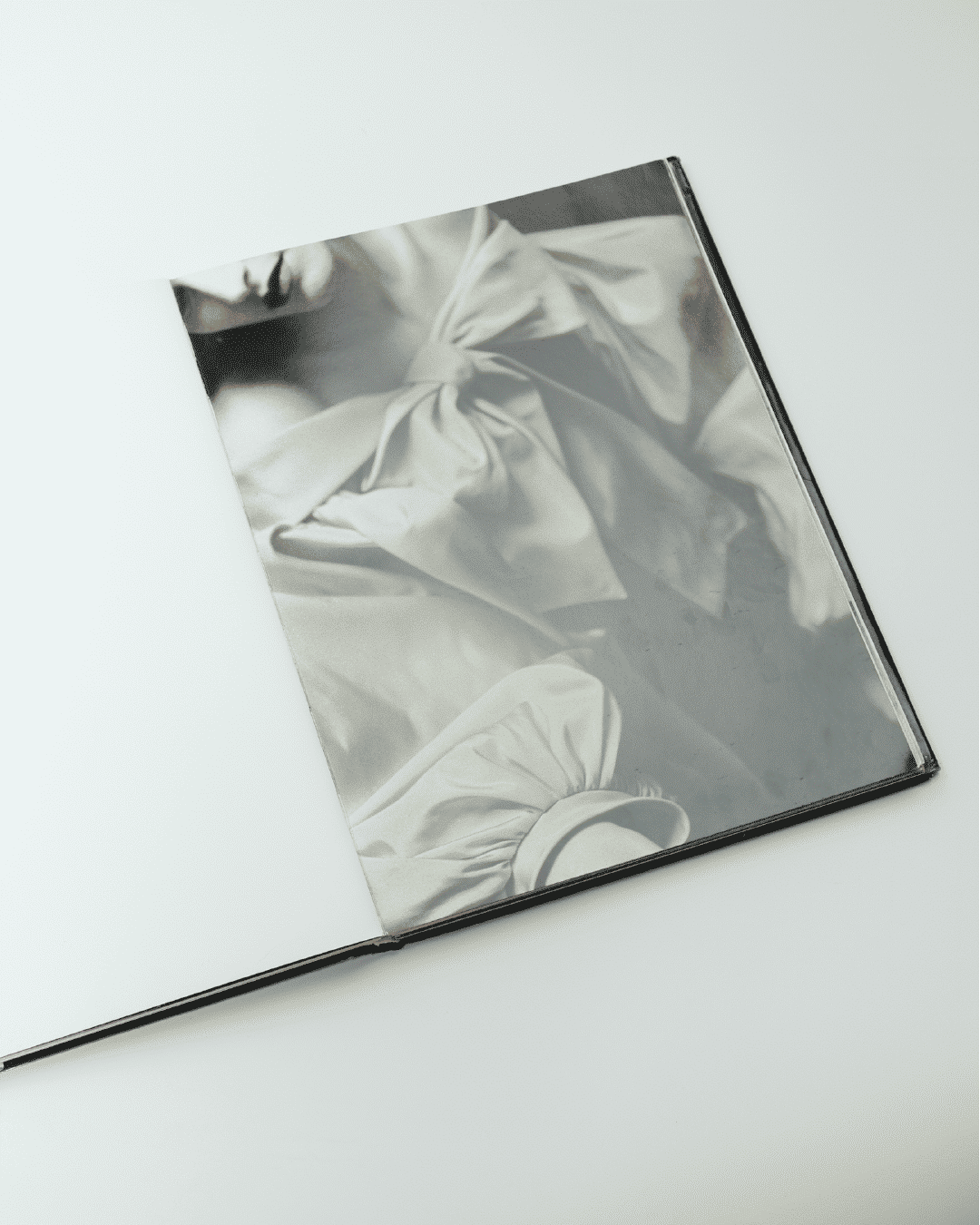 Livre de David Seidner