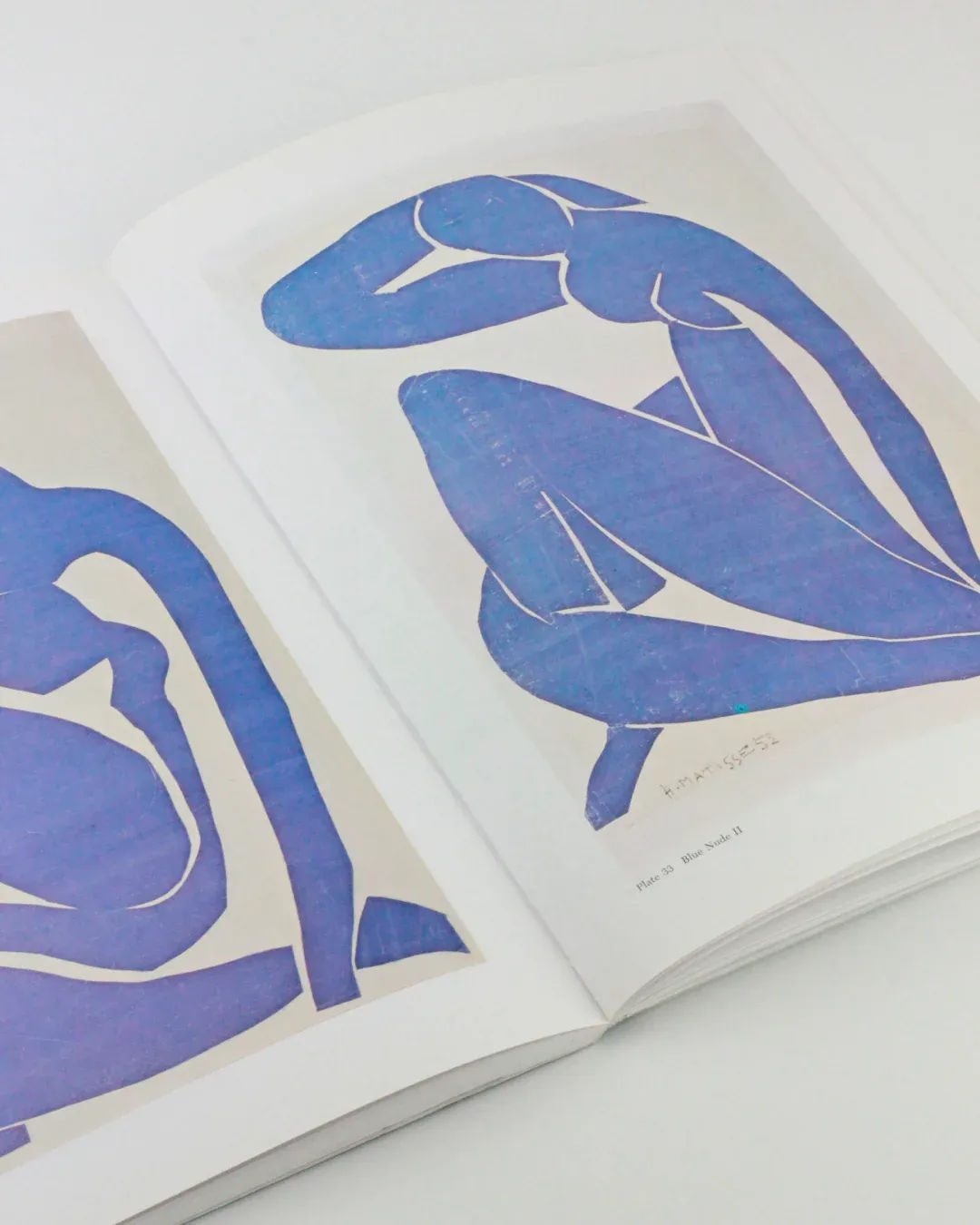 The Cut Outs of: Henri Matisse - The Oblist