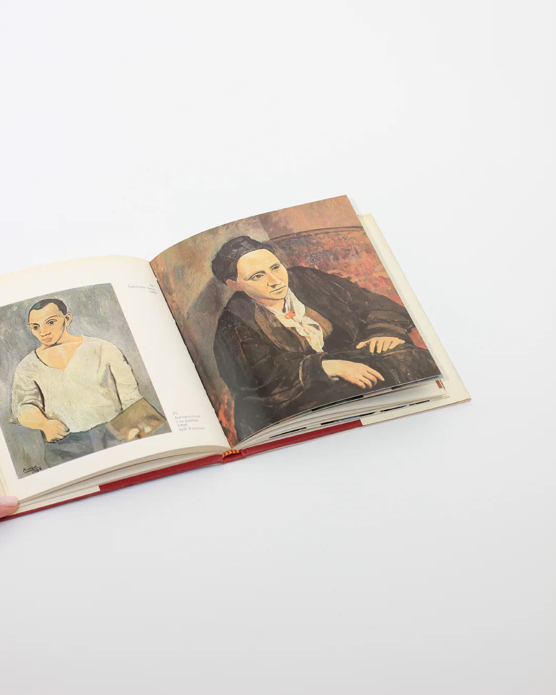 PICASSO Book