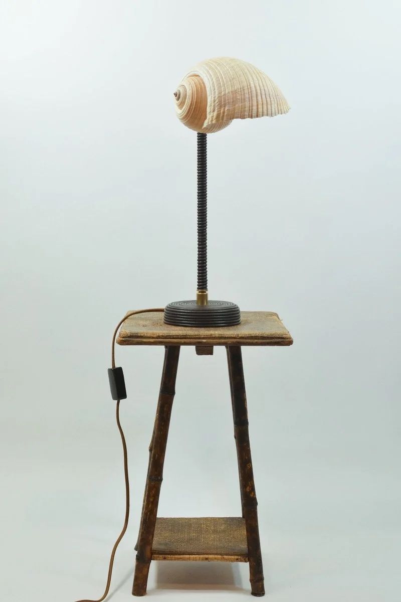 'L’Escargot' Table Lamp