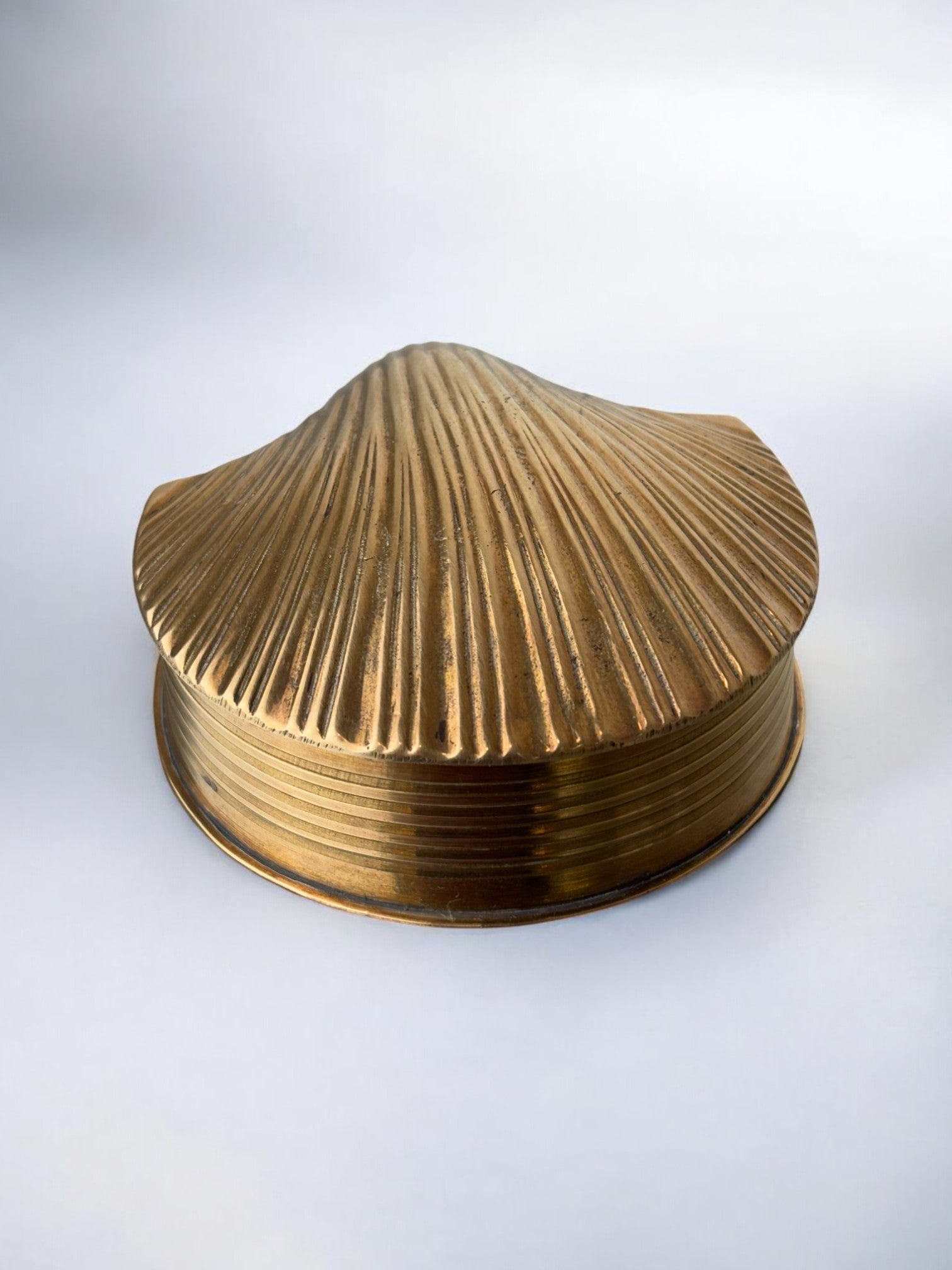 Brass shell jewelry box showing ribbed surface detail and base