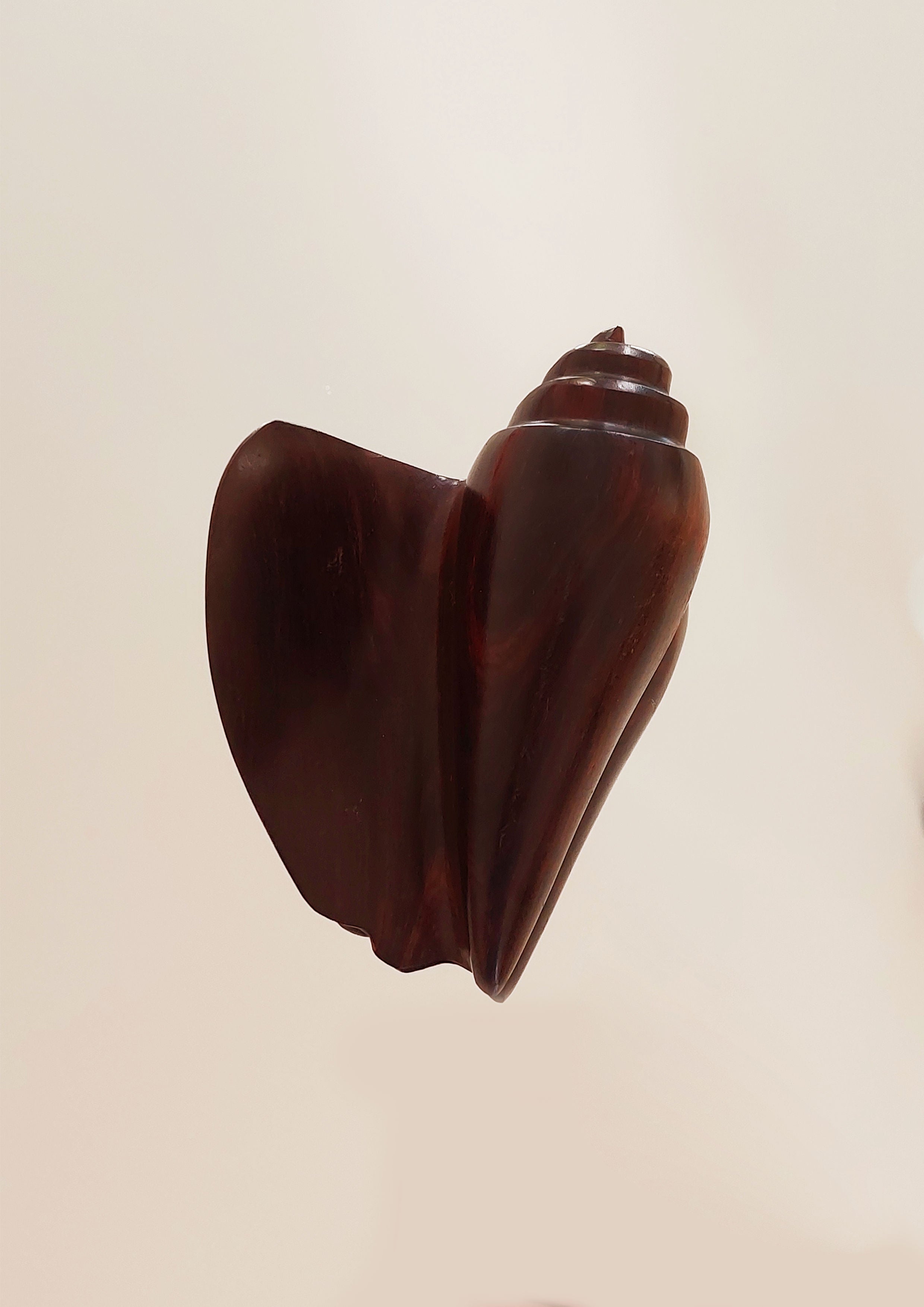 The Carved Wooden Seashell by Les Objoies is a stunning sculpture featuring a dark brown, glossy shell-like design with a spiral pattern set against a light beige background. Crafted from exotic wood, this piece showcases smooth textures and abstract, flowing curves that embody rustic craftsmanship.