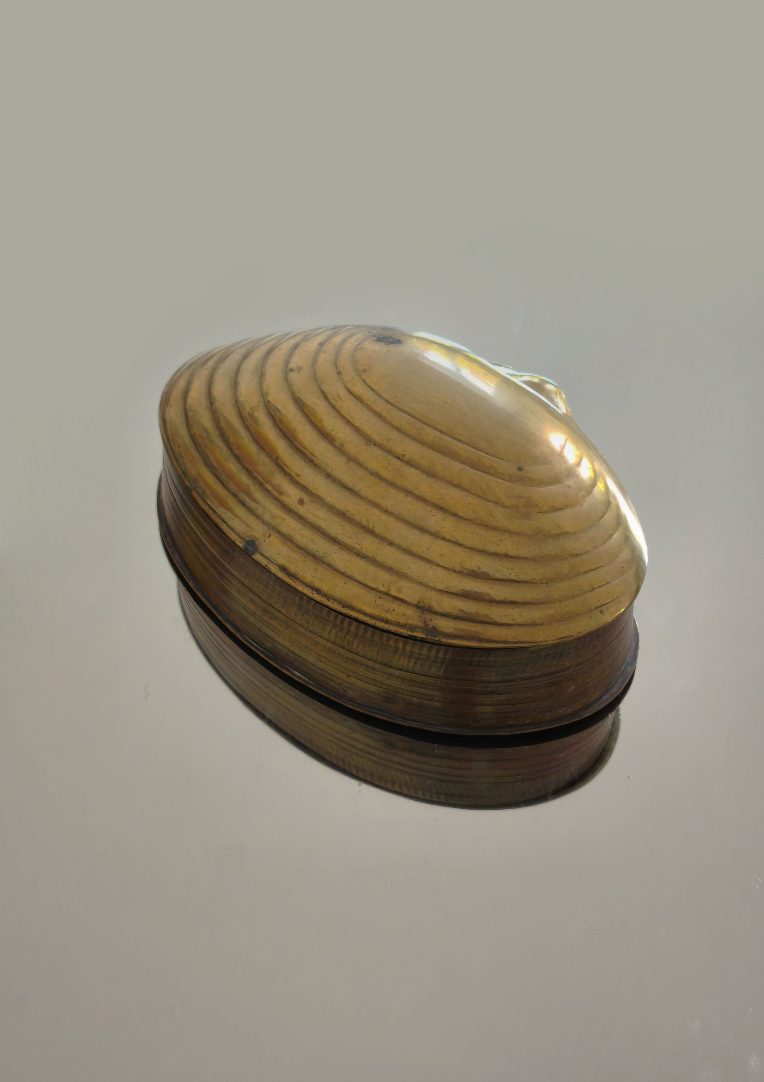 A Brass Shell Box by Les Objoies, featuring a golden, clam-shaped design with intricate shell patterns, sits on a reflective surface, highlighting its ridged texture and shiny finish against a muted background.