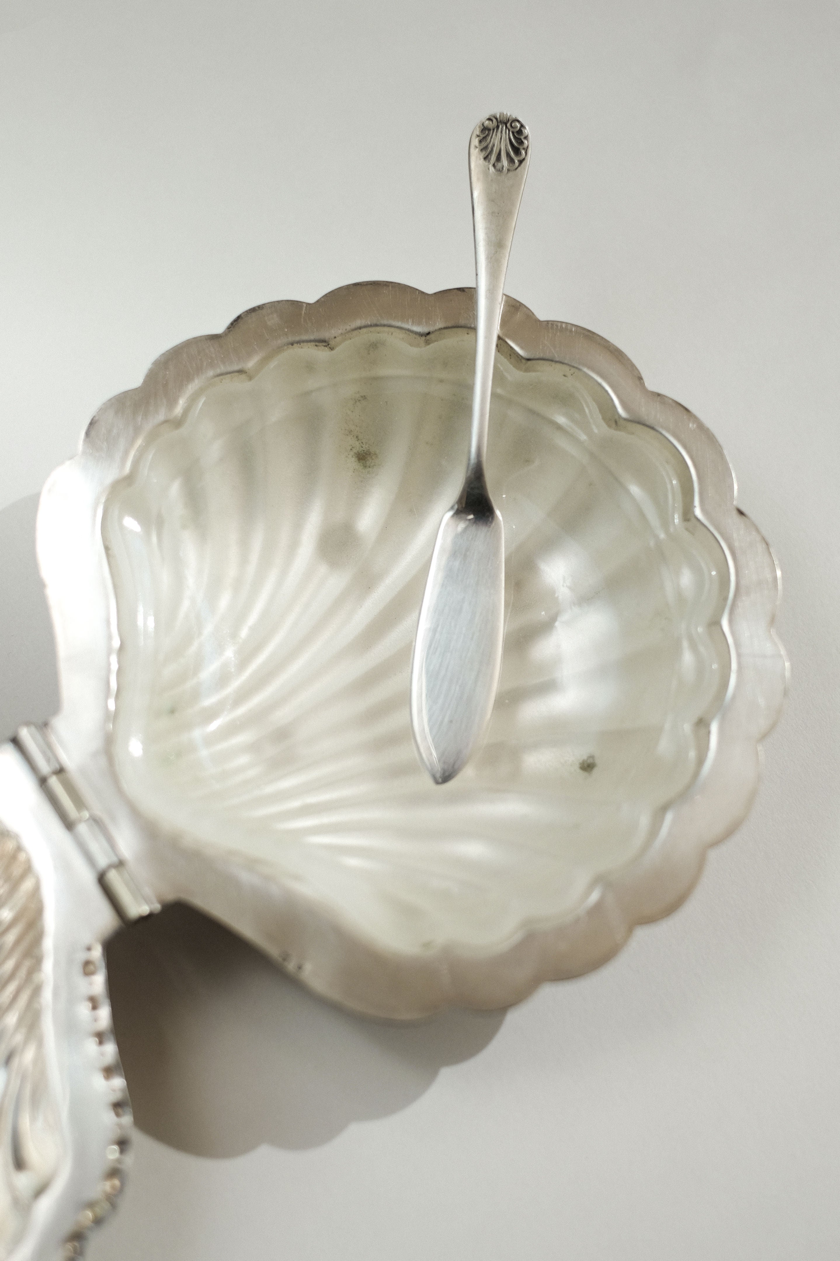Shell Shaped Butter Dish