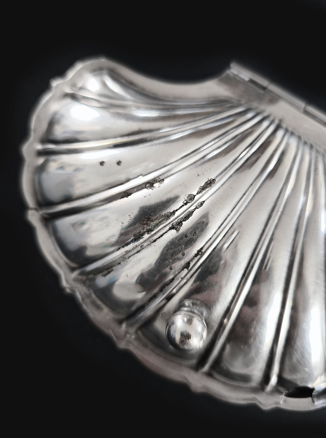 Shell Box