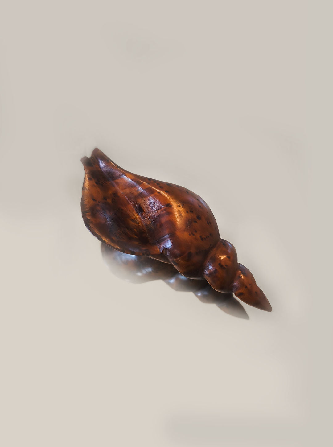 The Les Objoies Carved Wooden Seashell sits against a light neutral background, its glossy brown finish reflecting light and highlighting the intricate patterns and natural beauty of its spiraled, smooth surface.