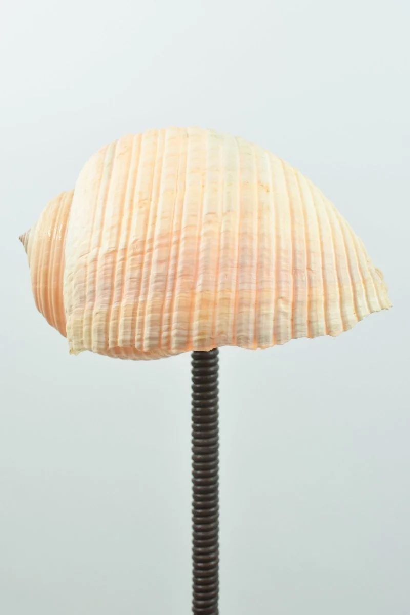 'L’Escargot' Table Lamp