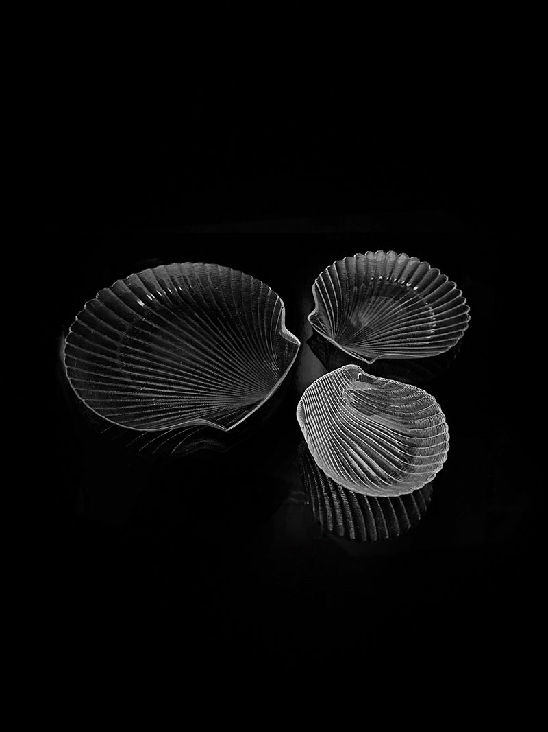 The Glass Serving Dish Set by Dodo Vintage features three shell-shaped bowls of varying sizes, beautifully arranged against a dark background. Ideal for presenting delicacies, these bowls' translucent grooves create a striking visual contrast with the black backdrop.