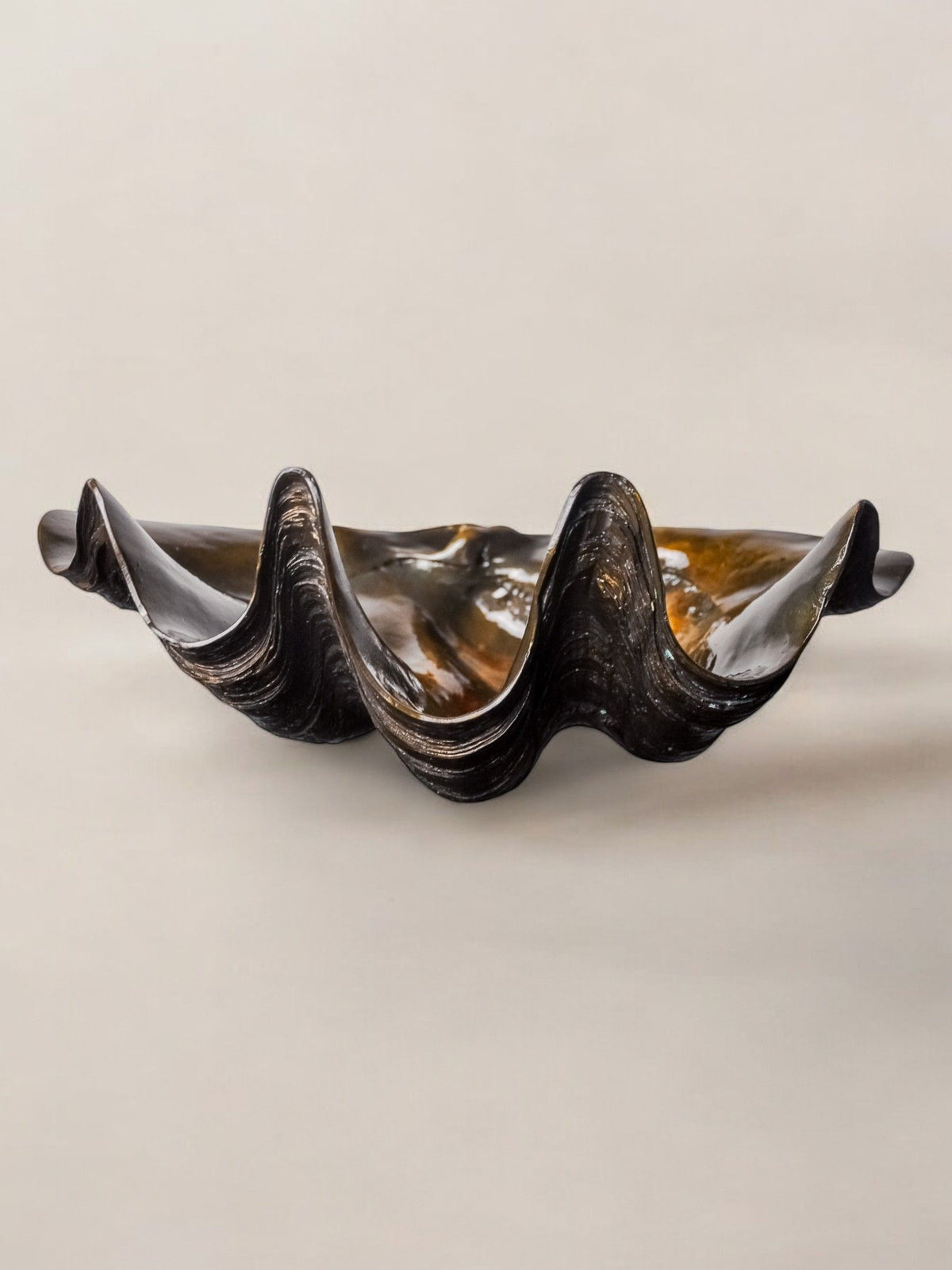 Large Shell in Plaster, Italy, 70s by Malamar Stu | The Oblist