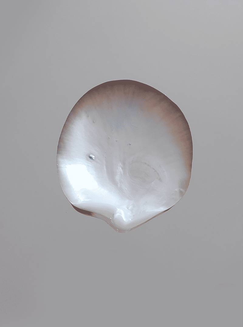 Mother-of-pearl vide-poche bowl showing iridescent surface detail