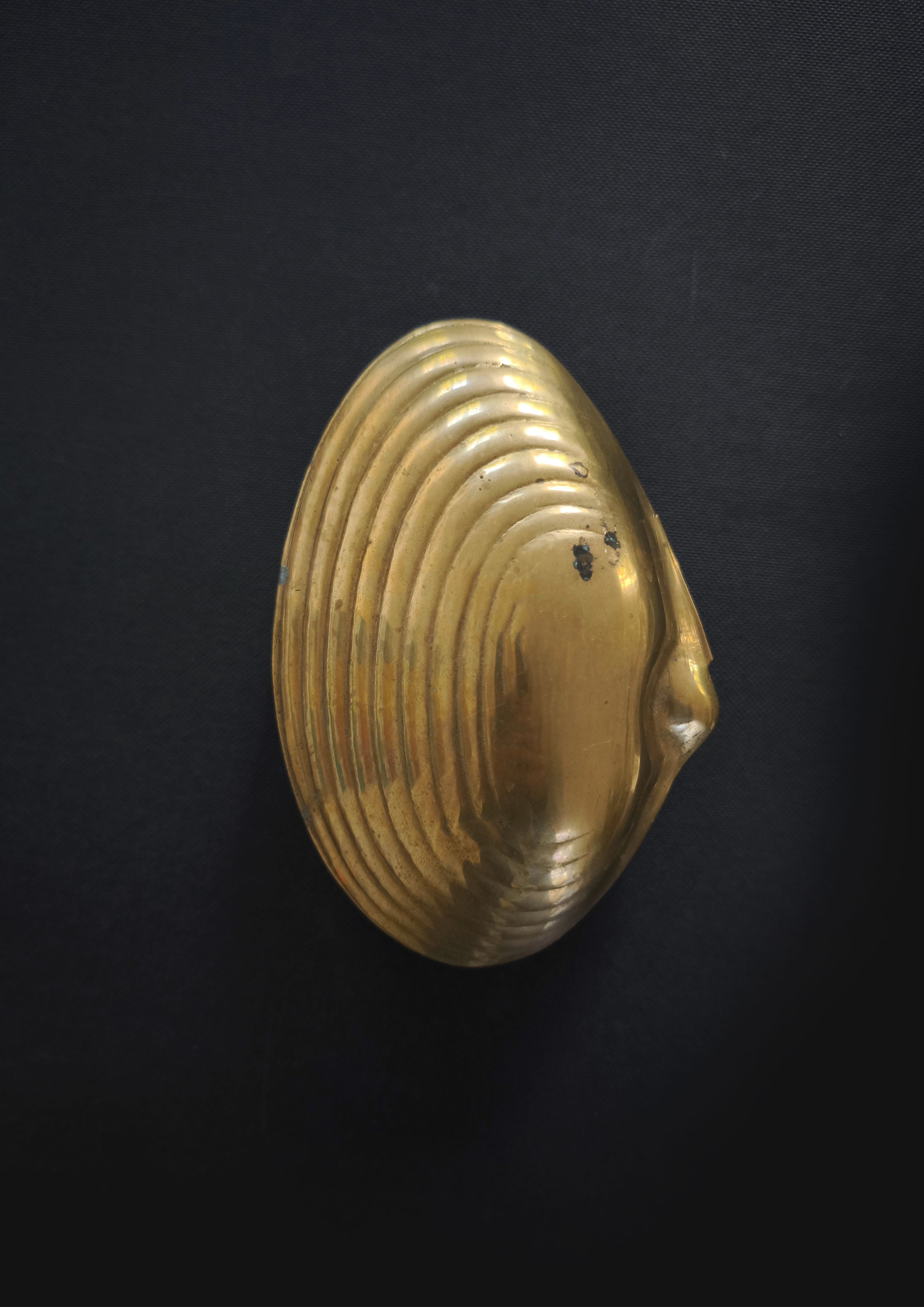 The Brass Shell Box by Les Objoies, featuring a gold-finished brass design that resembles a stylized oyster shell with textured grooves and shell patterns, is elegantly displayed against a dark background.