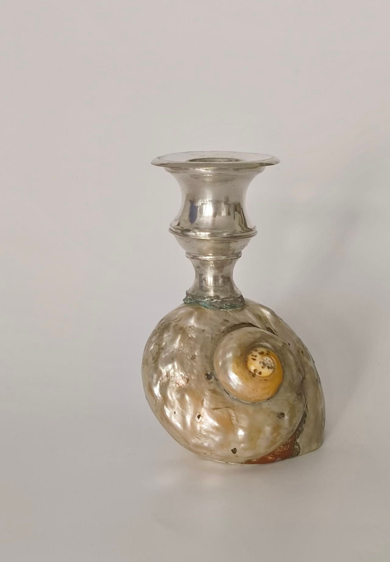 Antique Shell Candle Holders